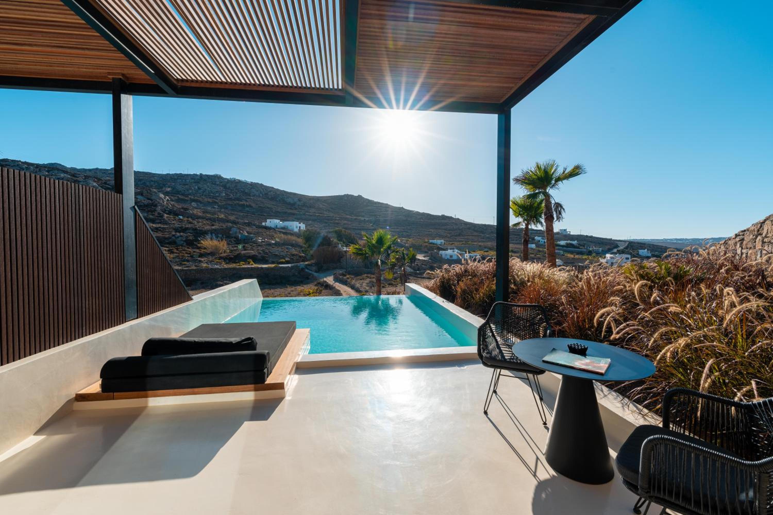 Executive Suite with Big Private Infinity Pool photo 2