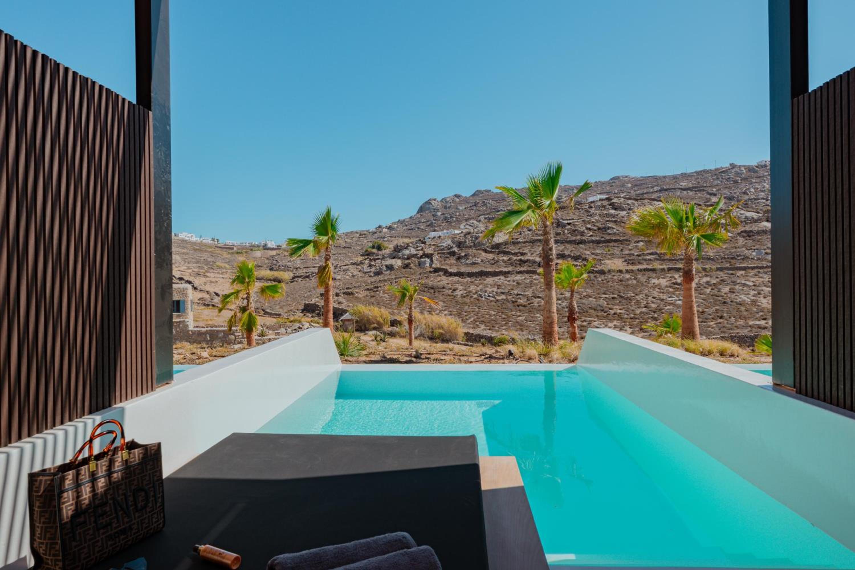 Superior Suite With Private Infinity Pool photo 2