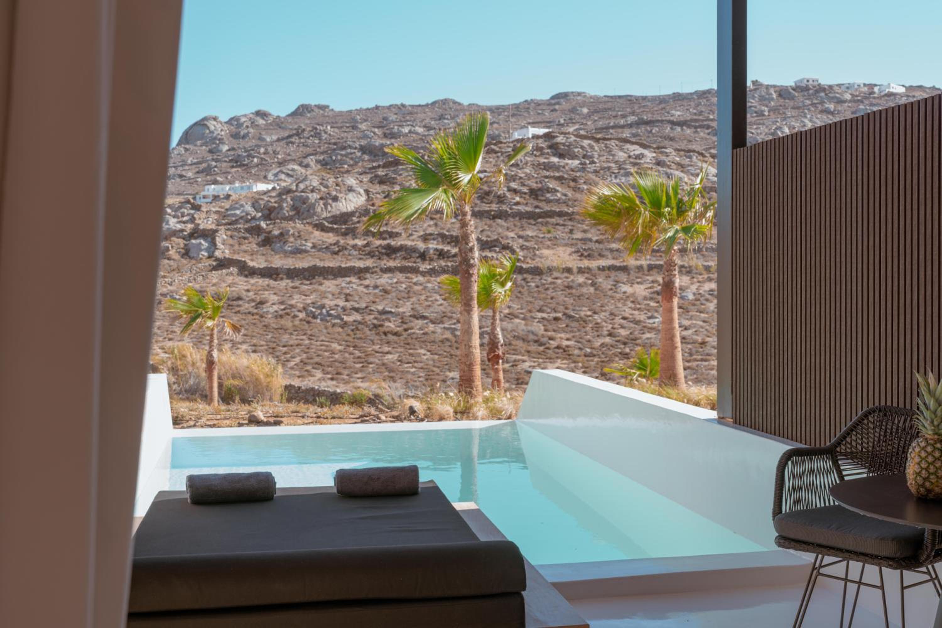 Superior Suite With Private Infinity Pool photo 2