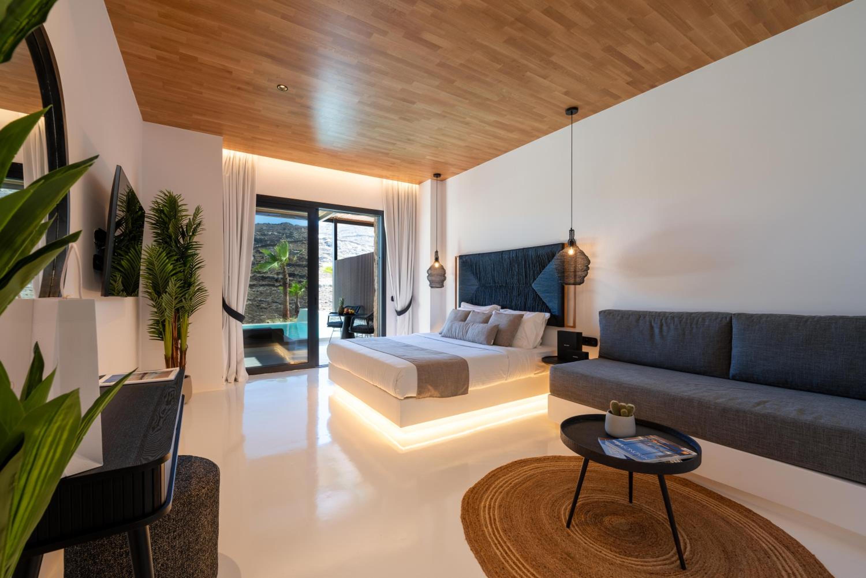 Deluxe Suite with Private Infinity Pool photo 1