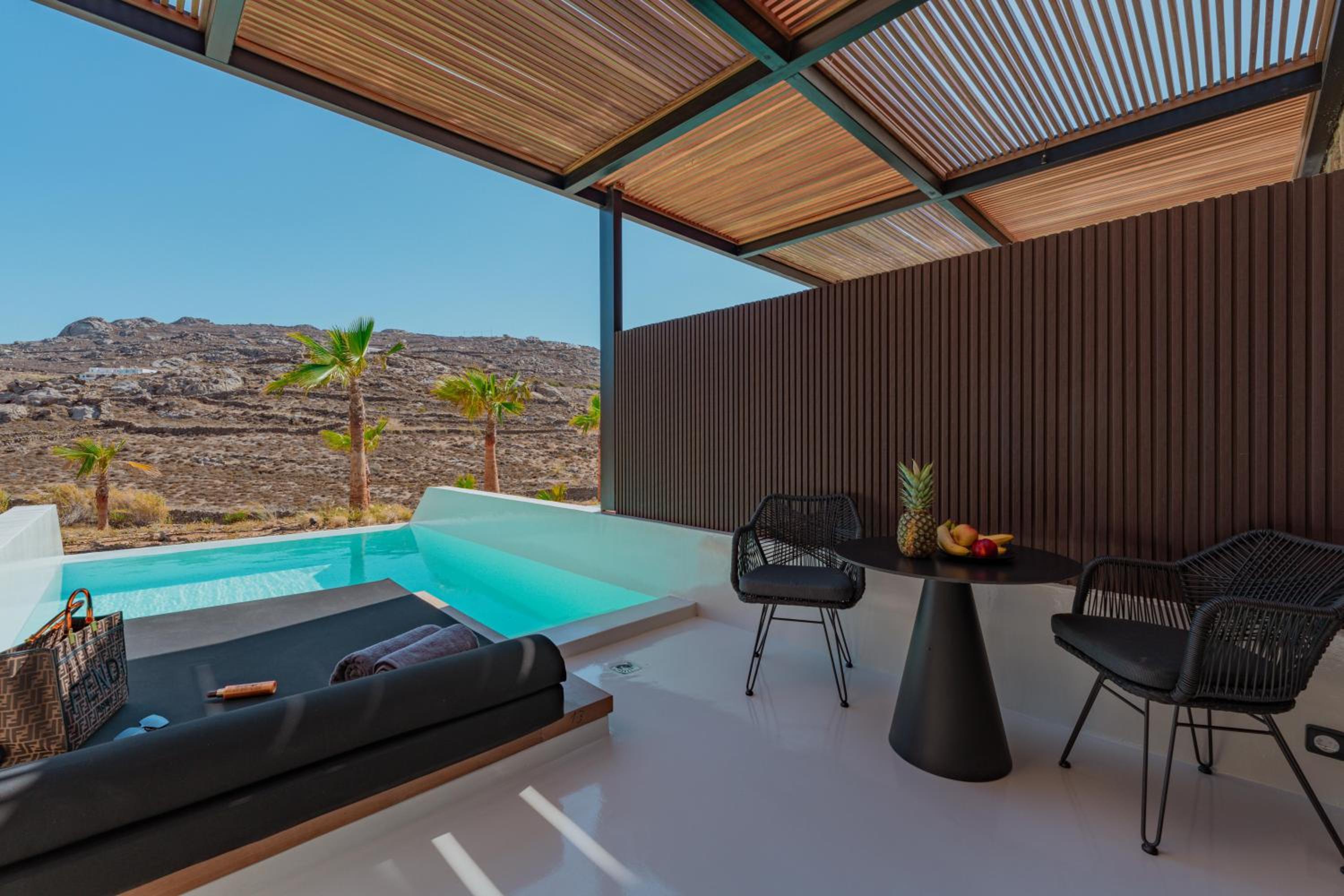 Deluxe Suite with Private Infinity Pool photo 2