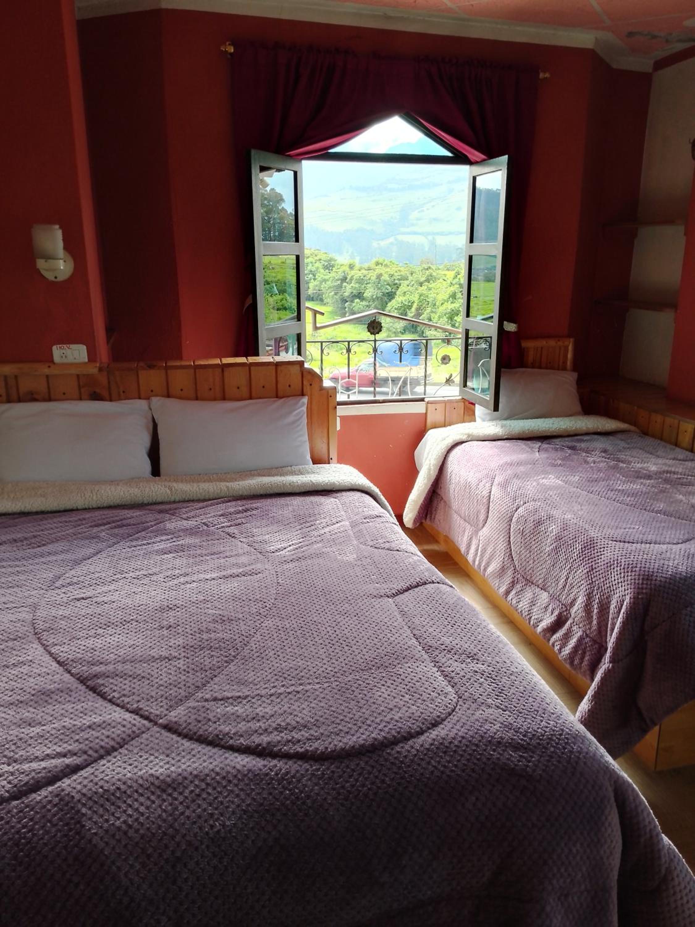 Twin Room photo 2