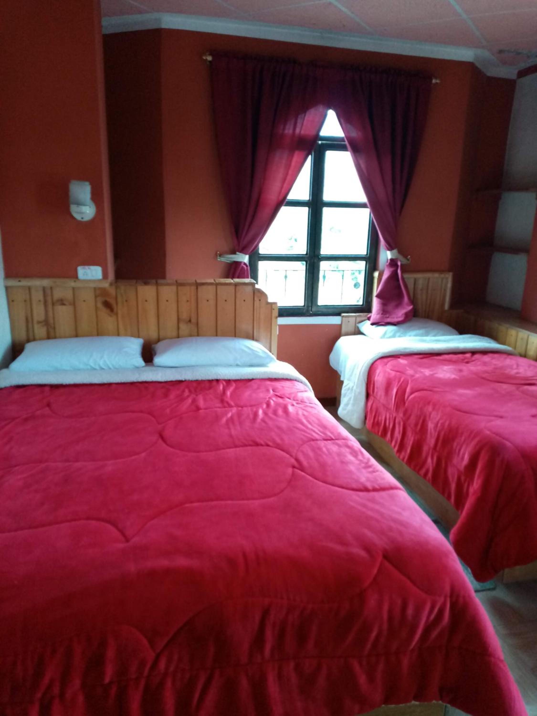 Twin Room photo 3