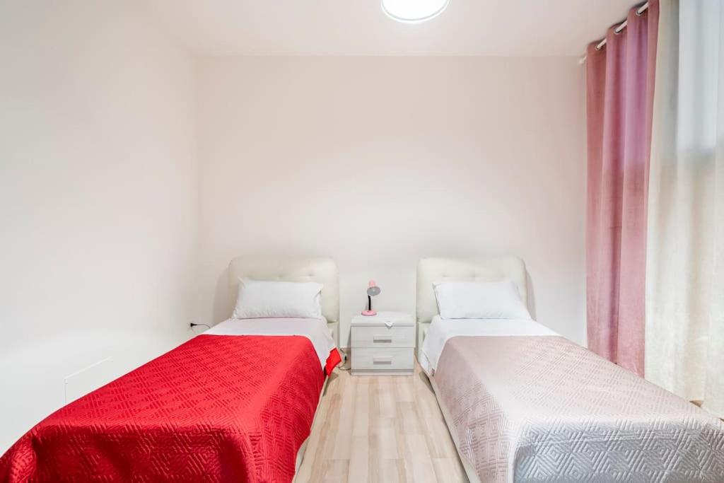 Twin Room photo 2