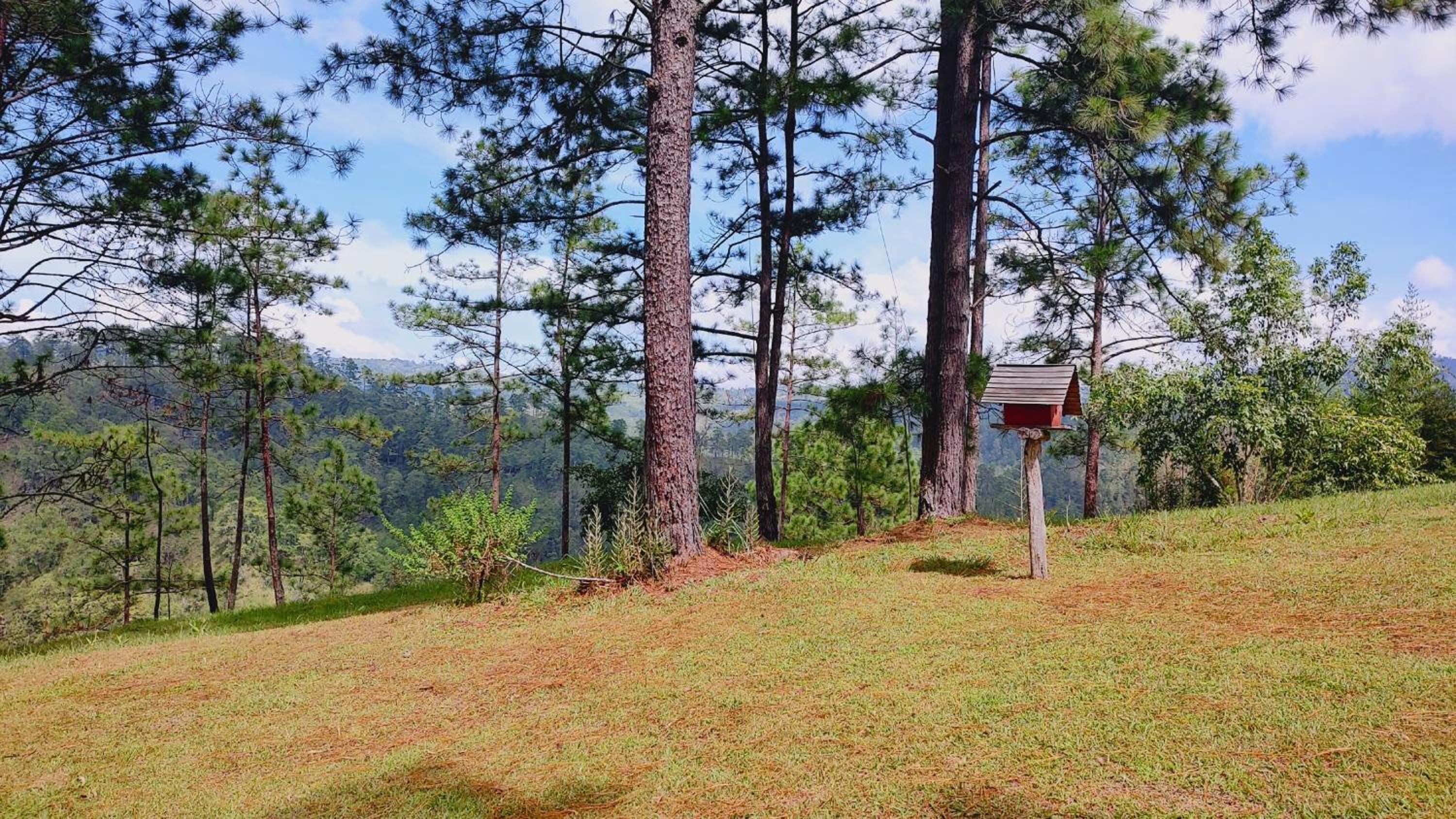 Double Room with Mountain View photo 2