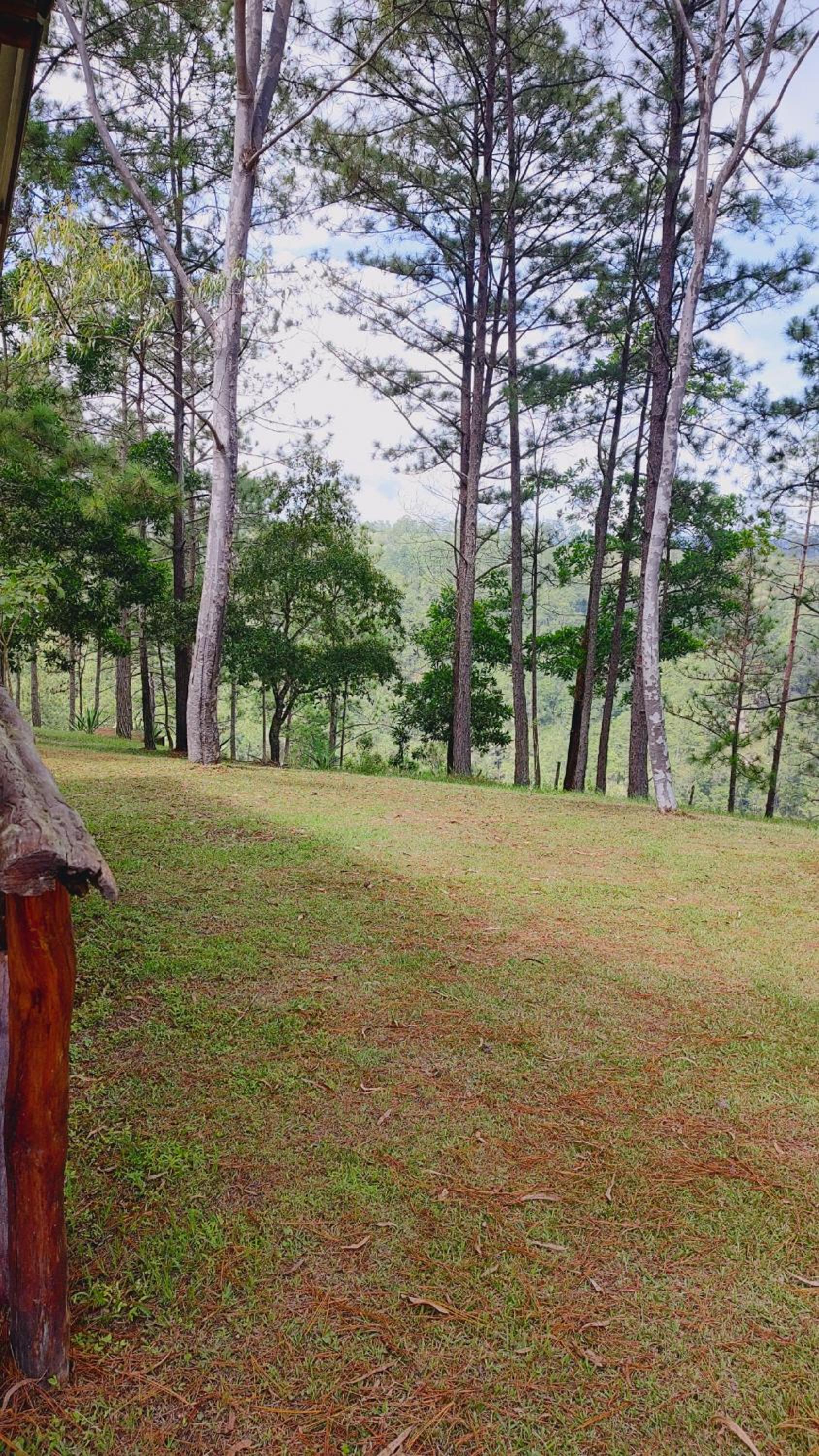 Double Room with Mountain View photo 3