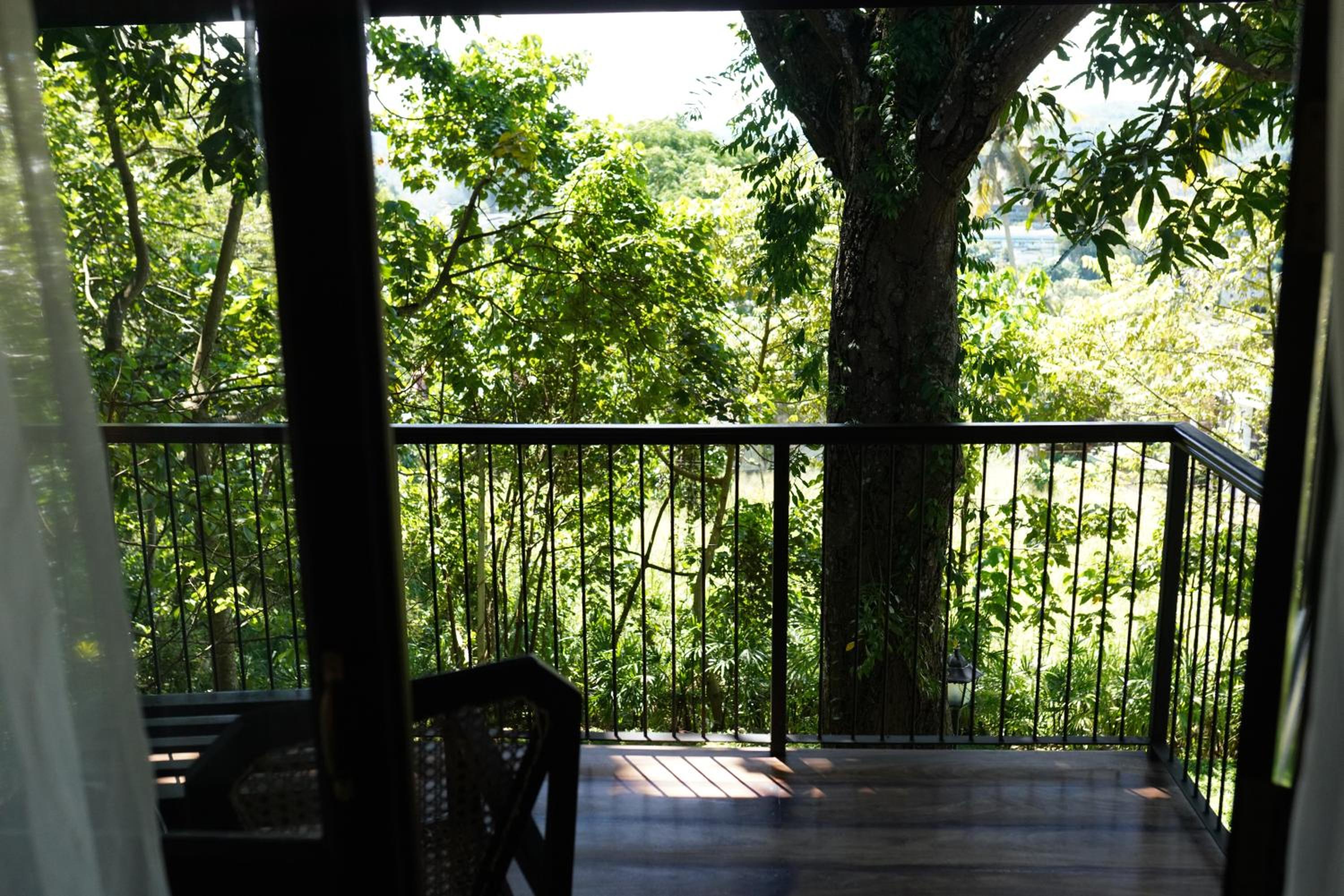 Double Room with Garden View photo 3