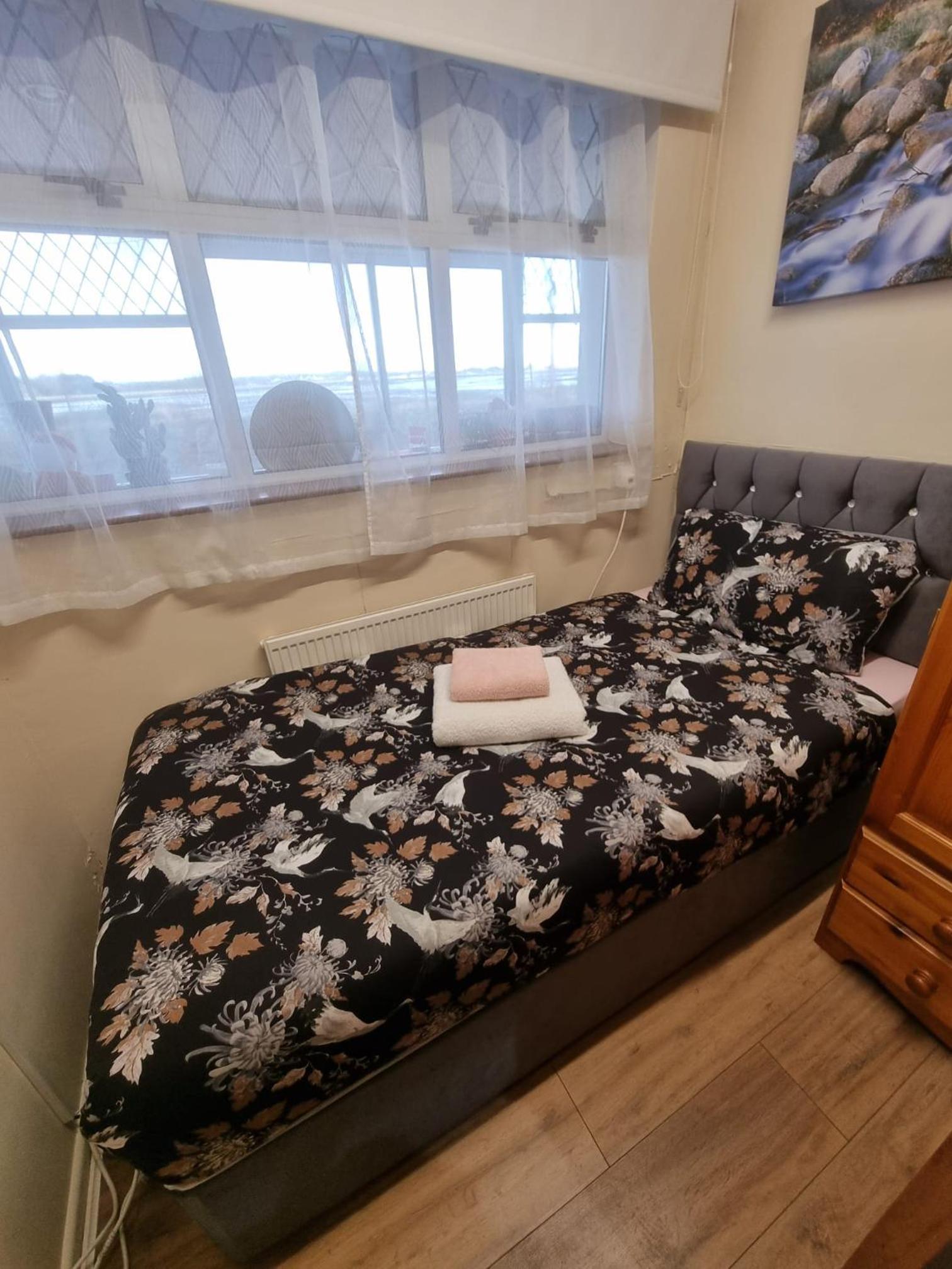 Single Room photo 1