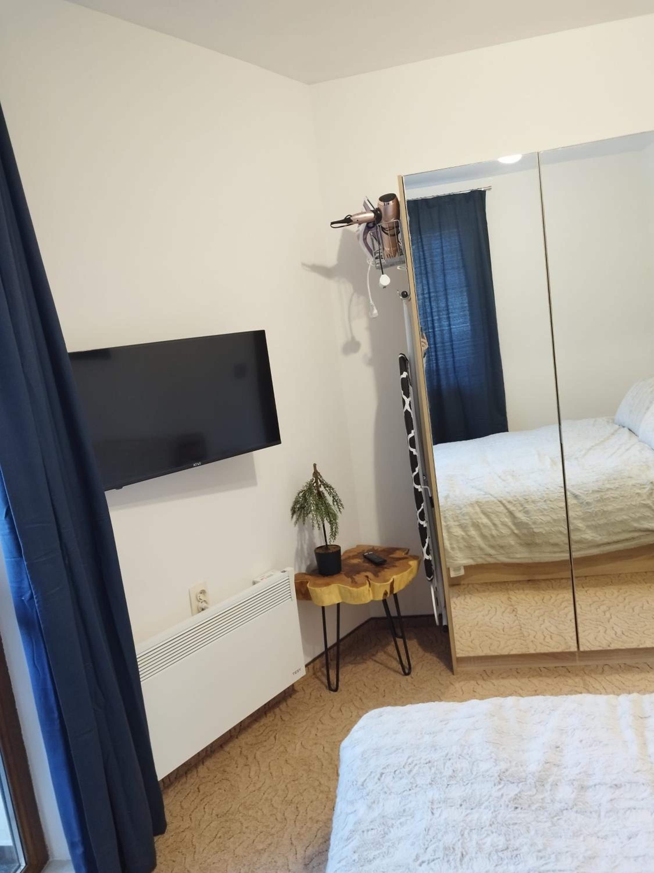 One-Bedroom Apartment photo 2