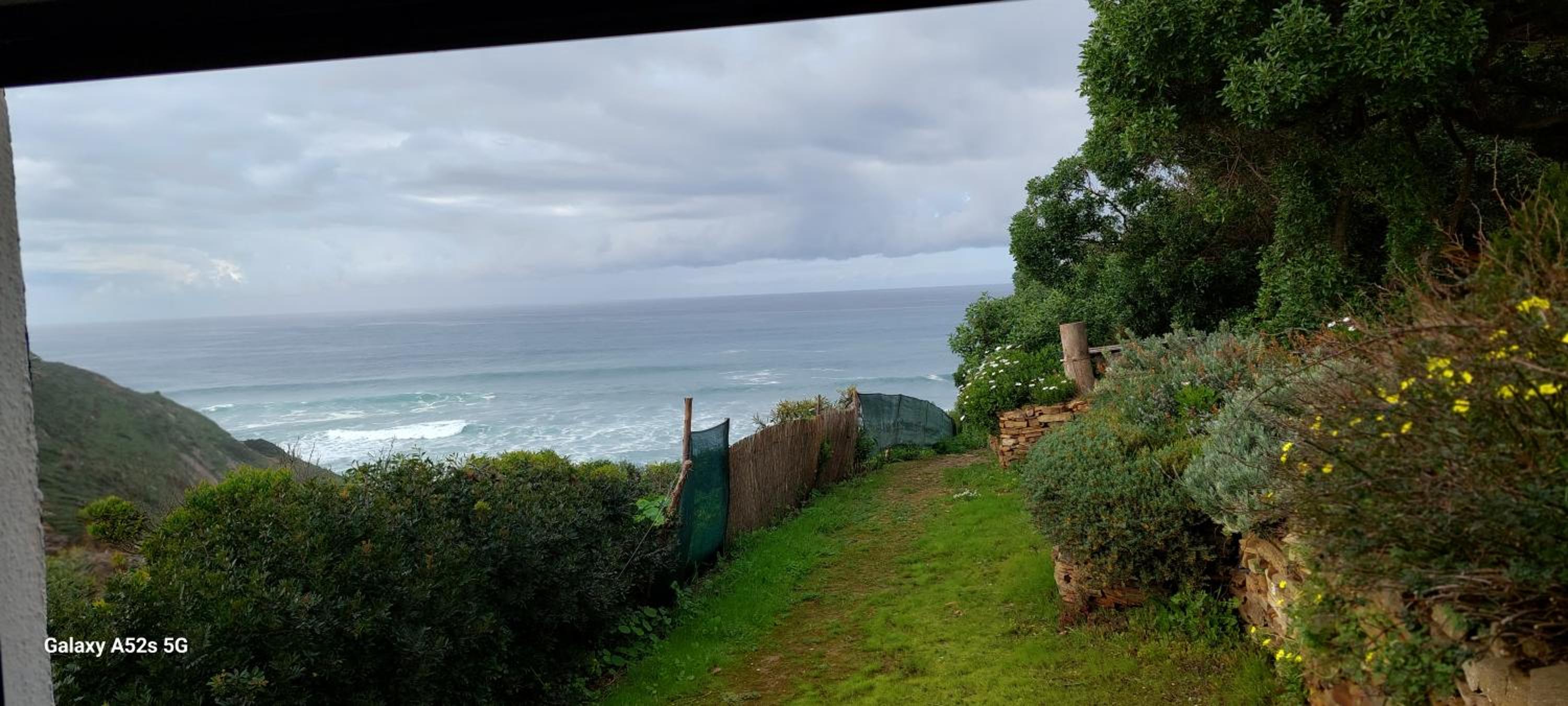 Studio with Garden View photo 2