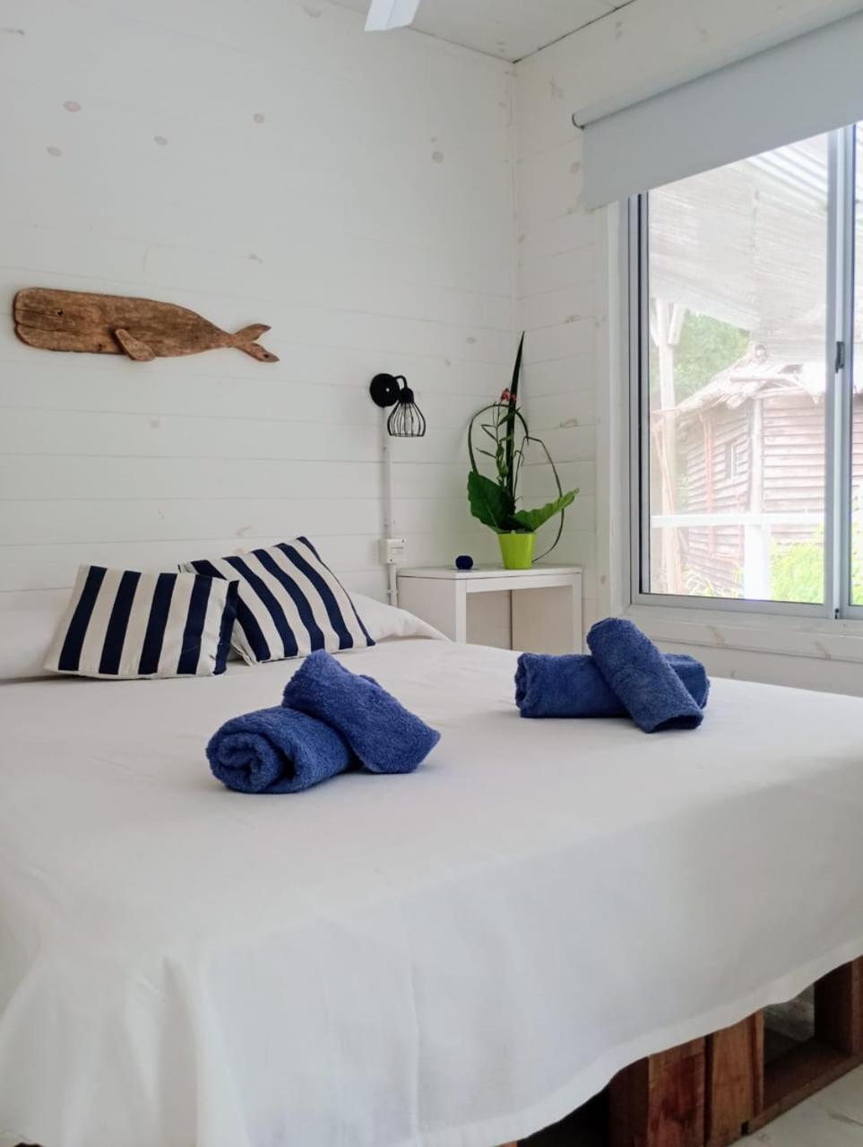 One-Bedroom House photo 1