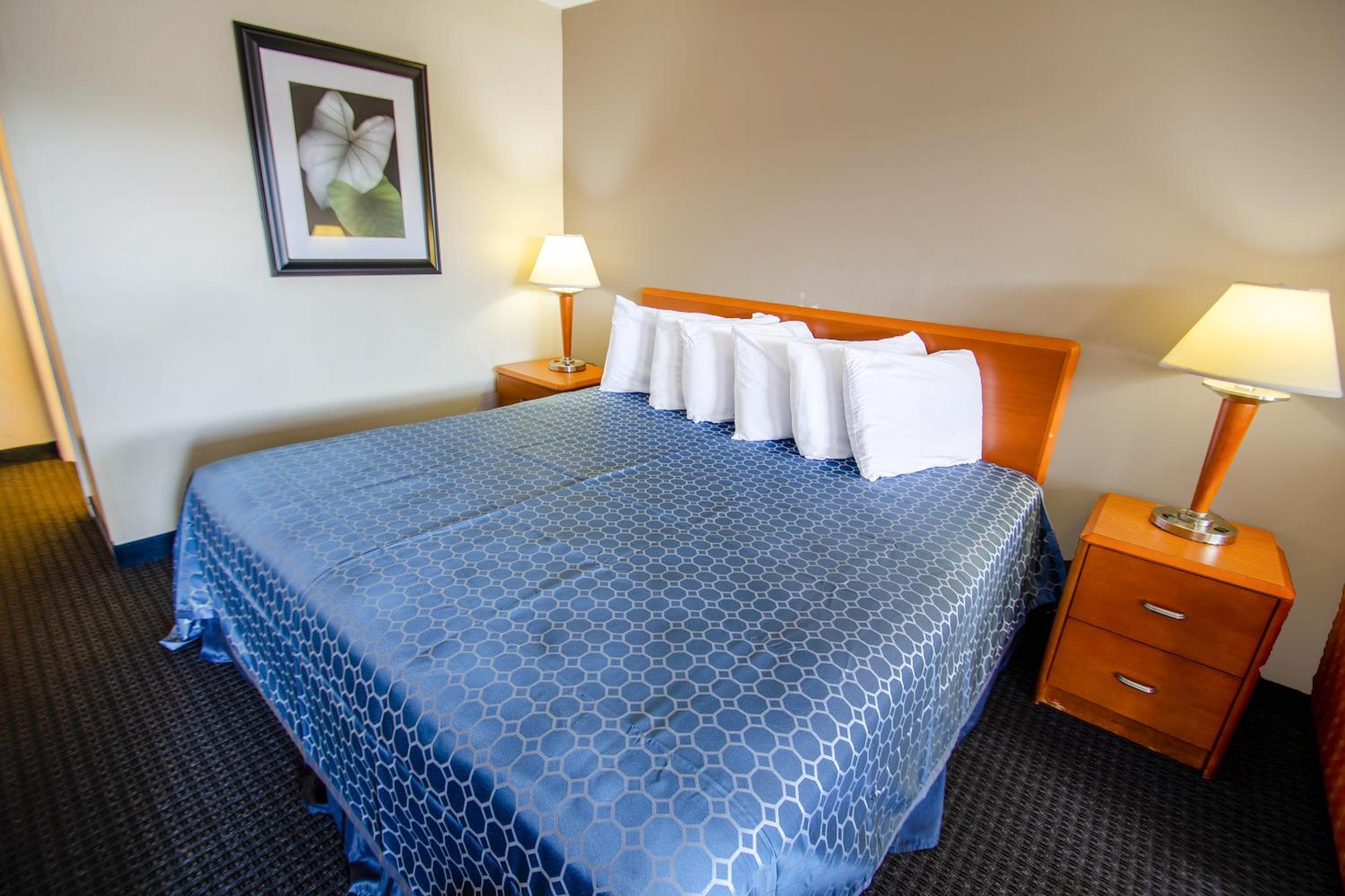 King Room photo 1