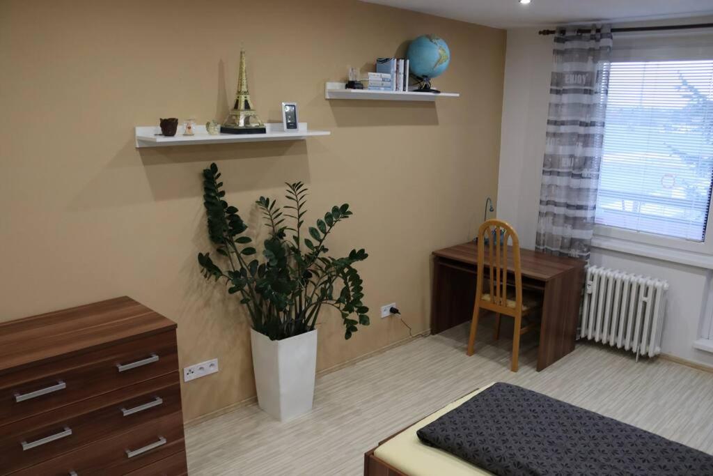 One-Bedroom Apartment photo 3