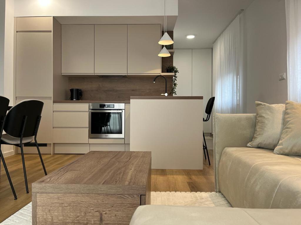 One-Bedroom Apartment photo 3