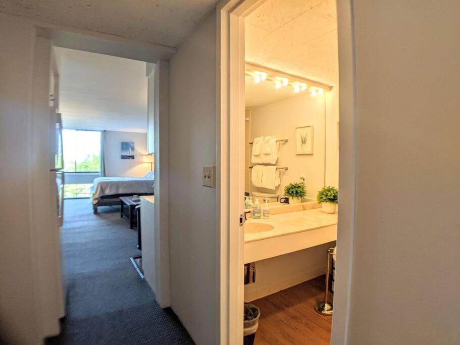 One-Bedroom Apartment photo 3