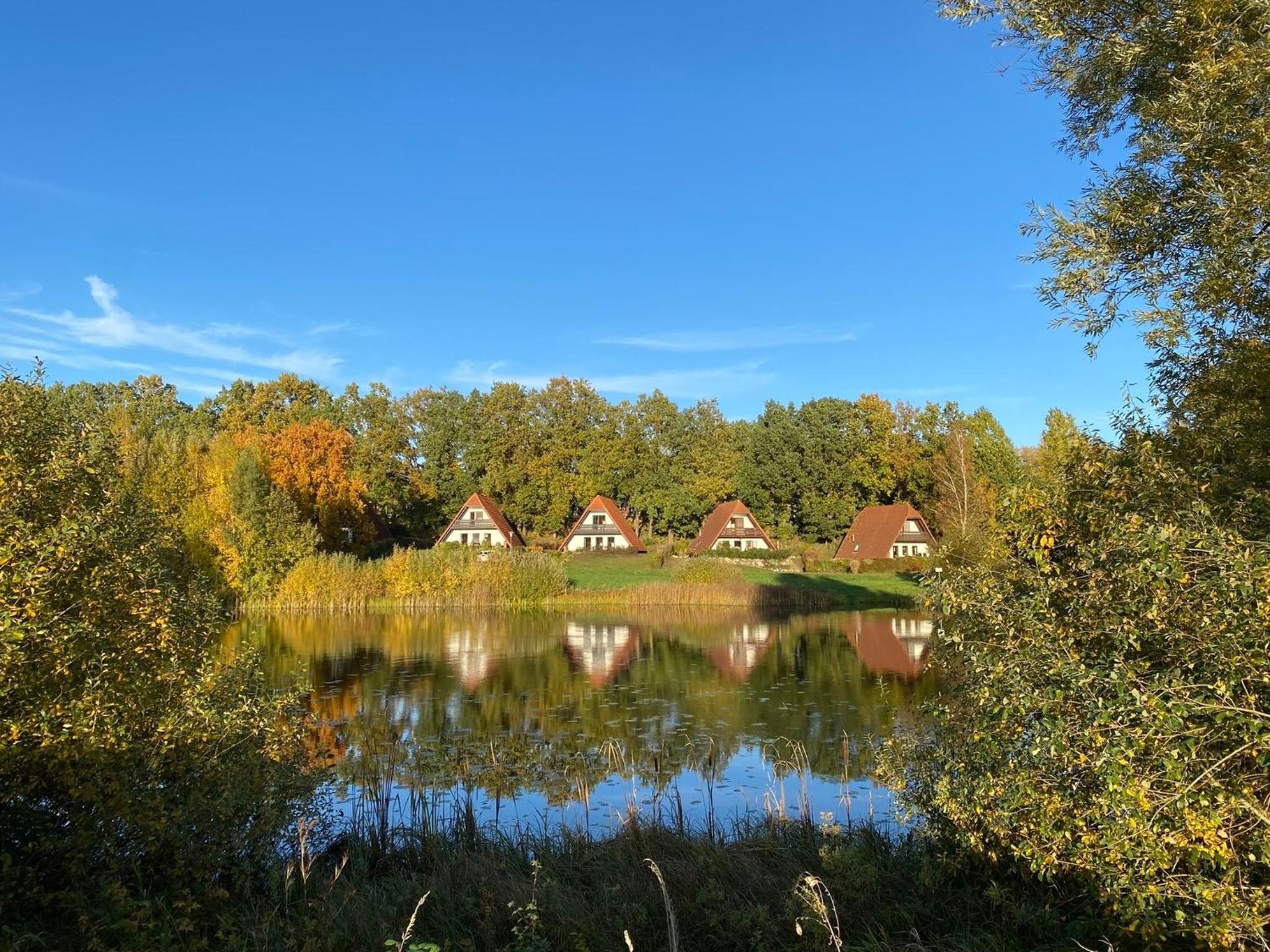 Vacation Home photo 3