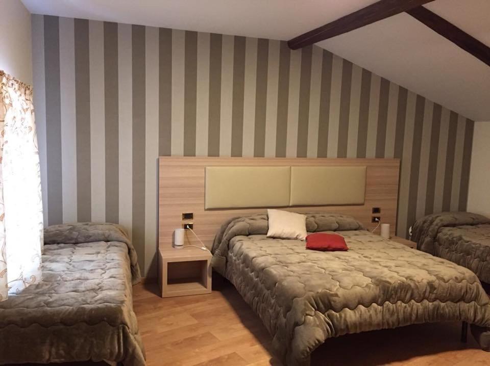 Premium Quadruple Room photo 1
