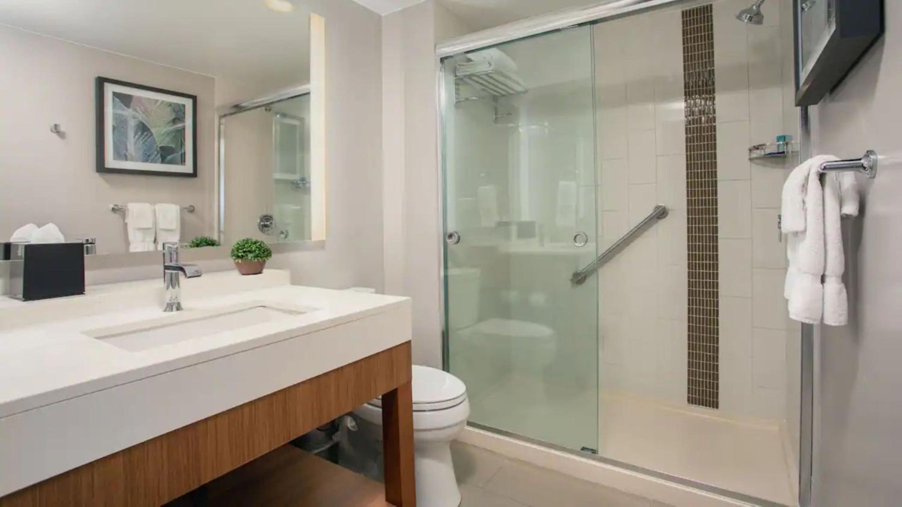 One-Bedroom King Suite with Sofa Bed