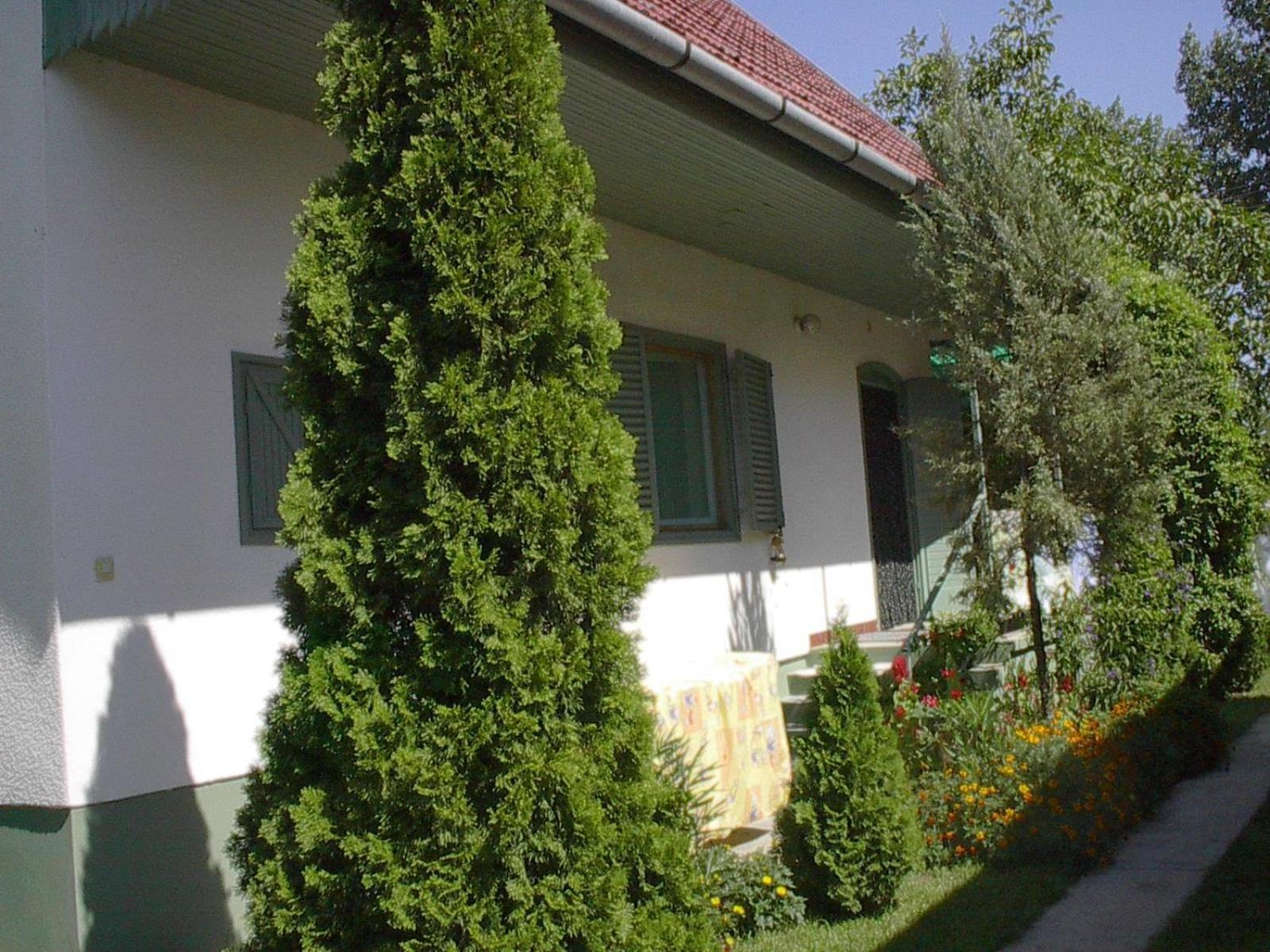 Apartment - Ground Floor photo 2