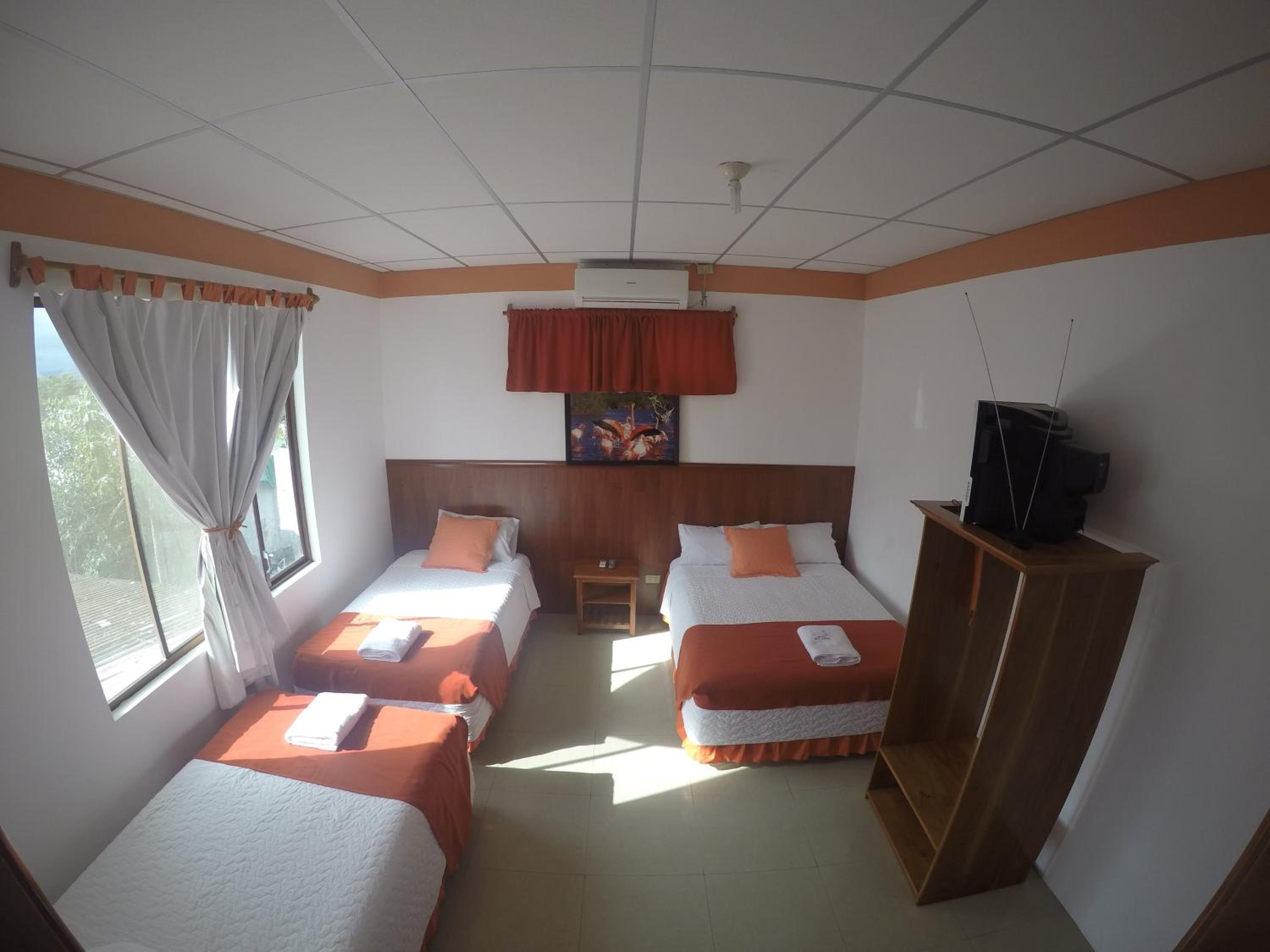 Triple Room photo 1