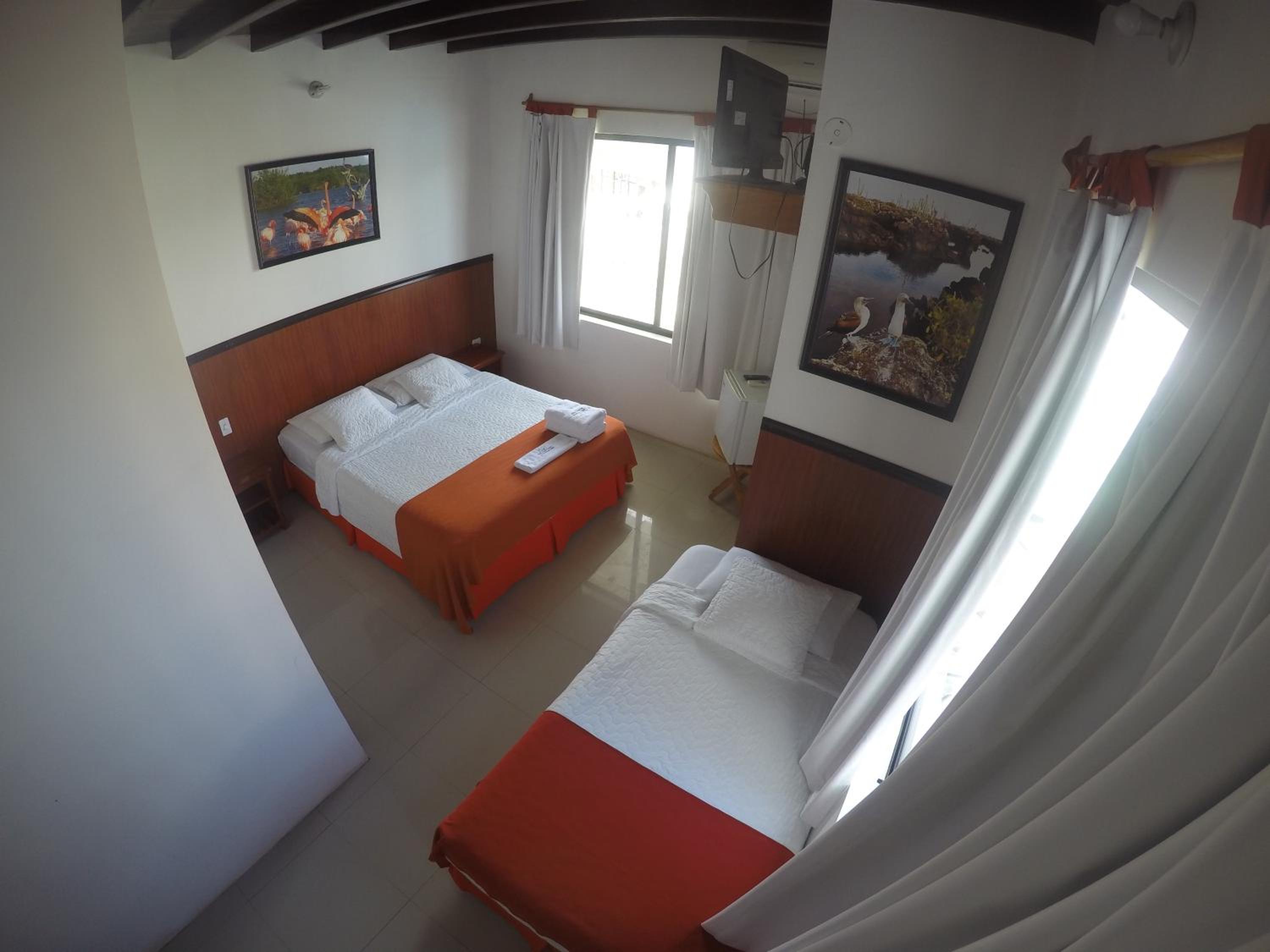 Twin Room photo 3