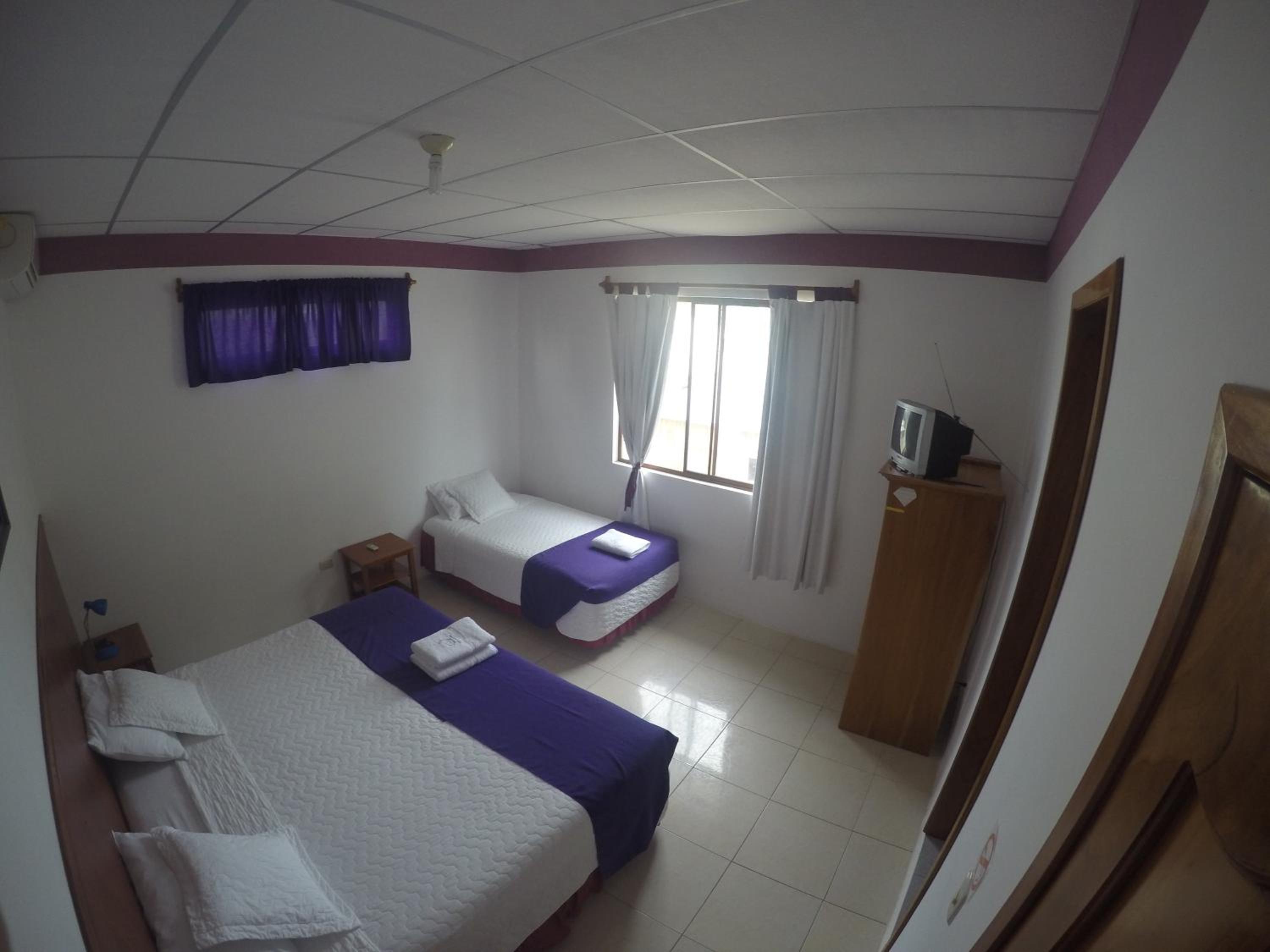 Twin Room photo 1