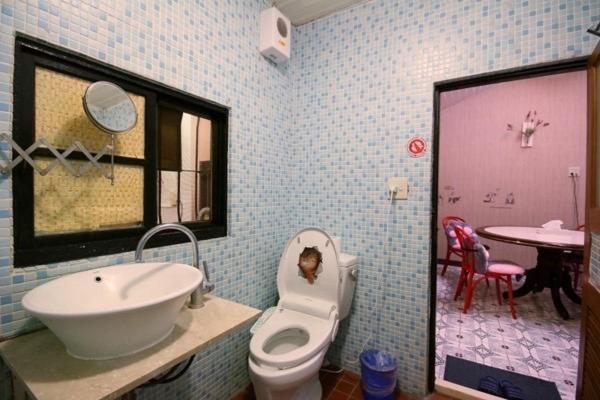 Family Room with Shower - Photo 5