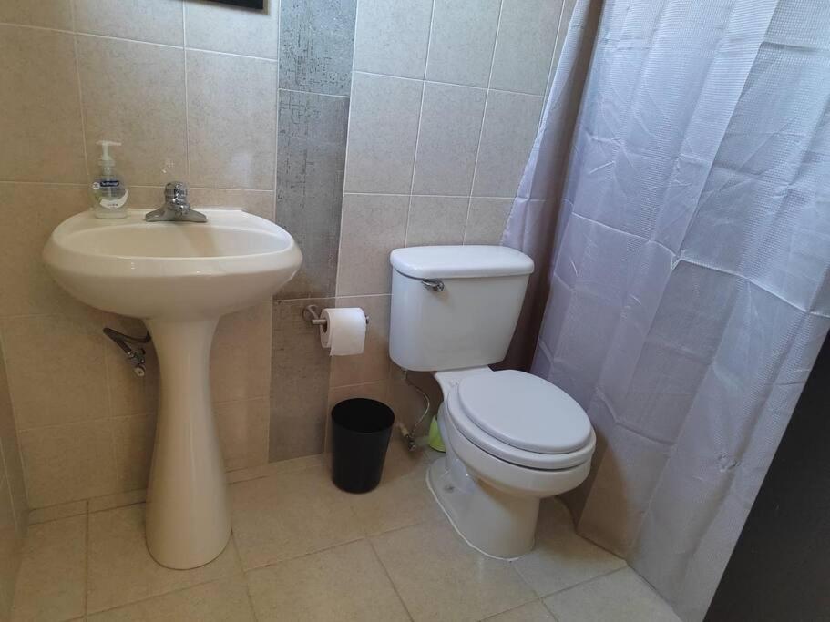 Two-Bedroom Apartment photo 2