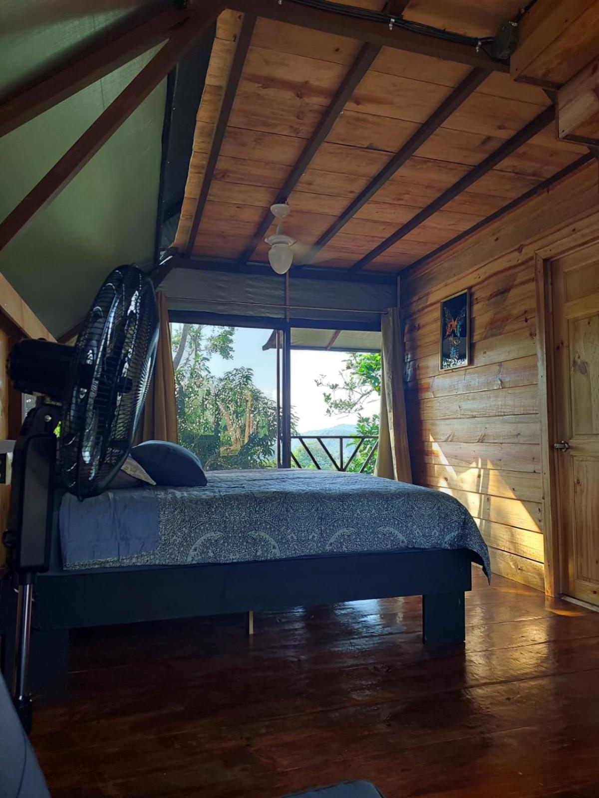 Bungalow with Patio photo 1