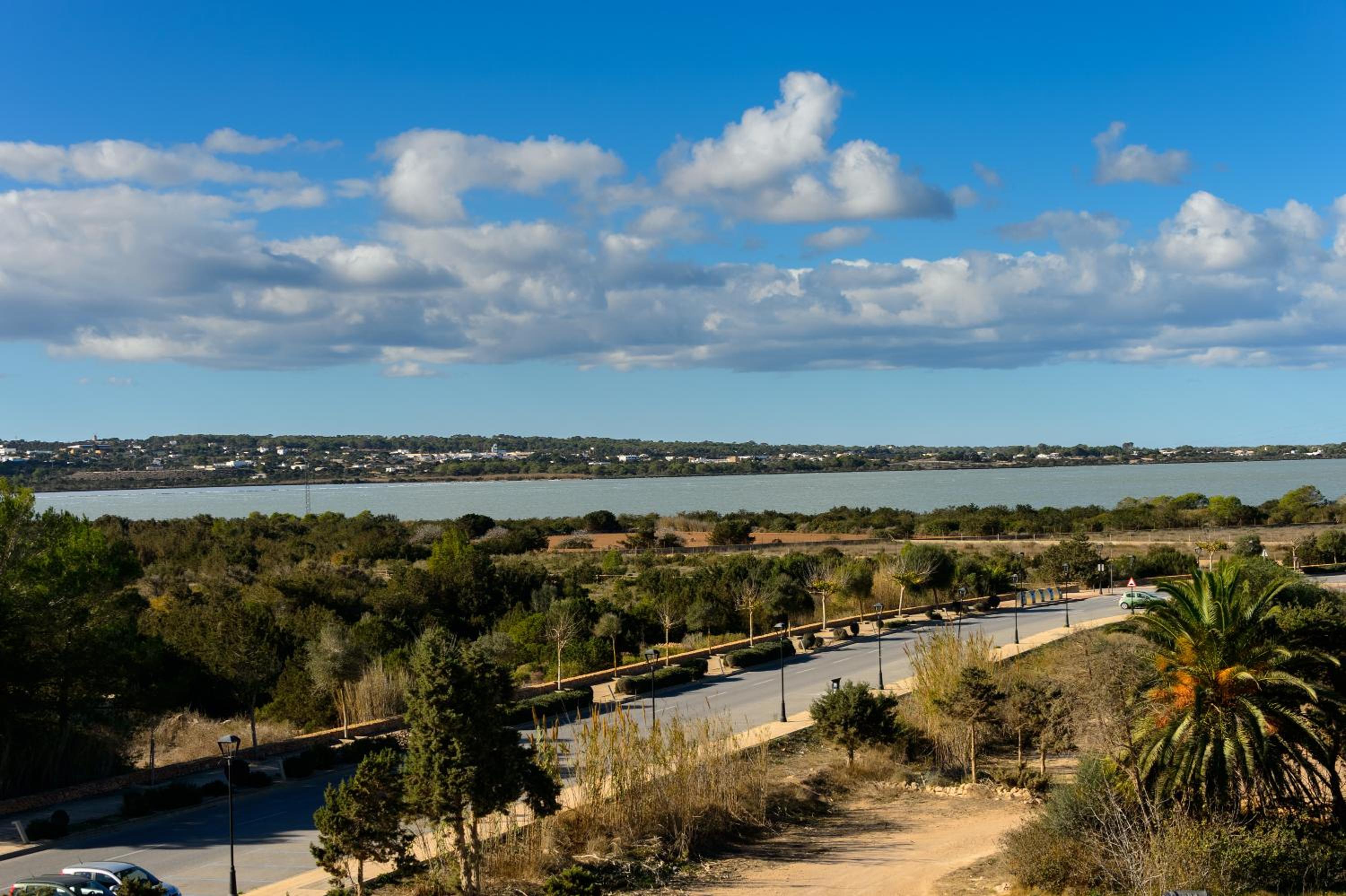 Superior One-Bedroom Apartment with Balcony photo 3