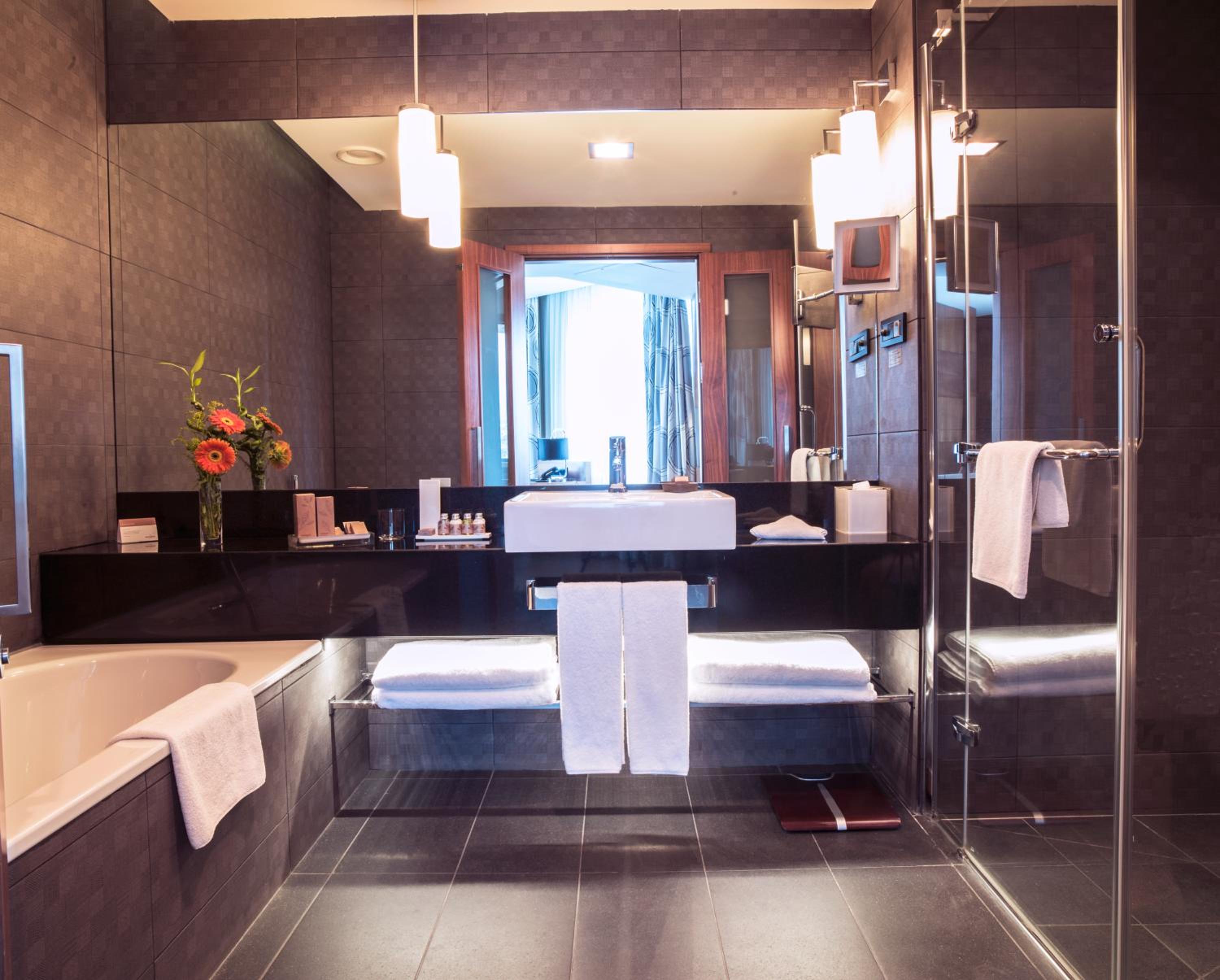 Deluxe King Suite photo 3