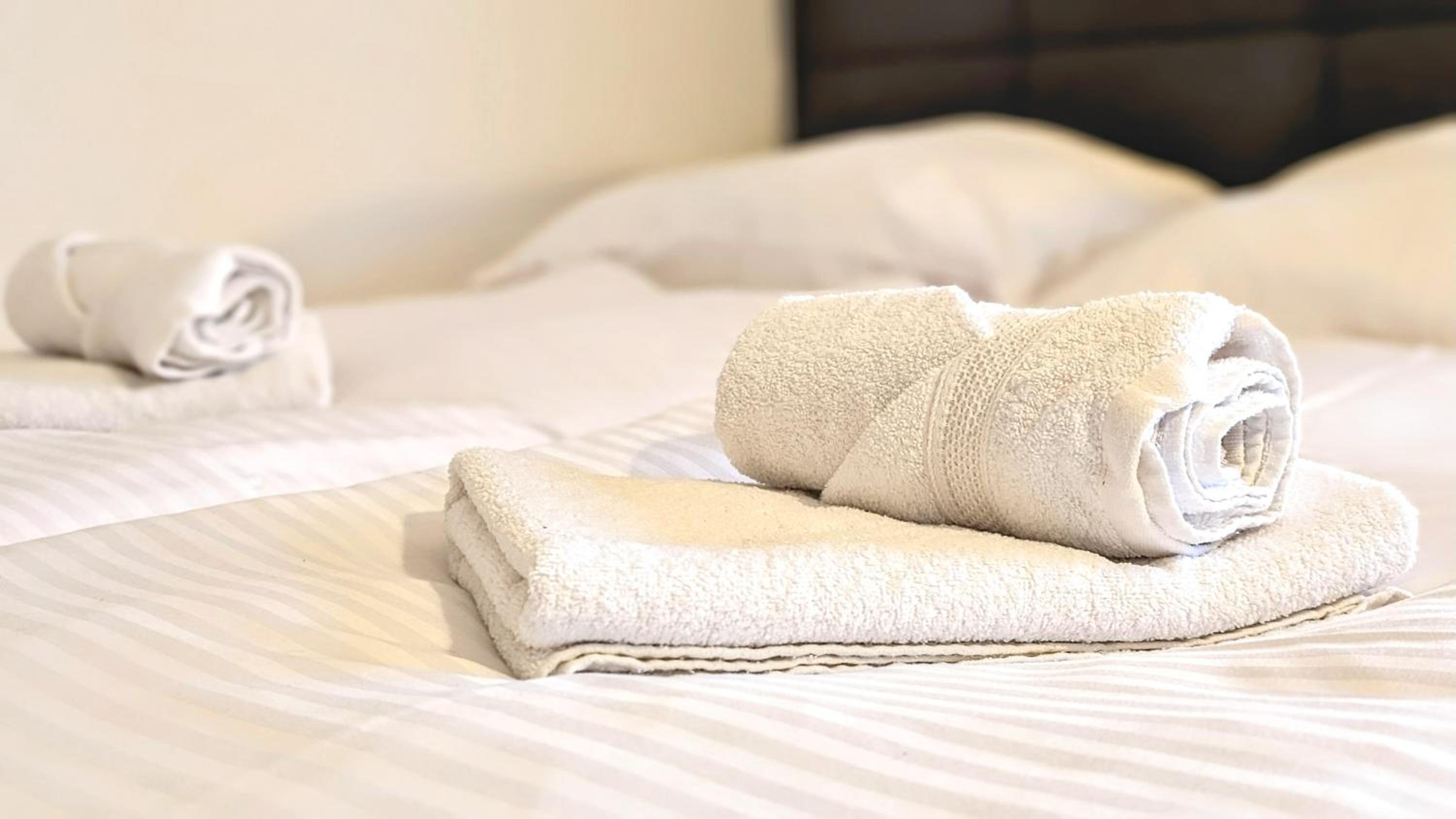 Studio Apartment photo 1