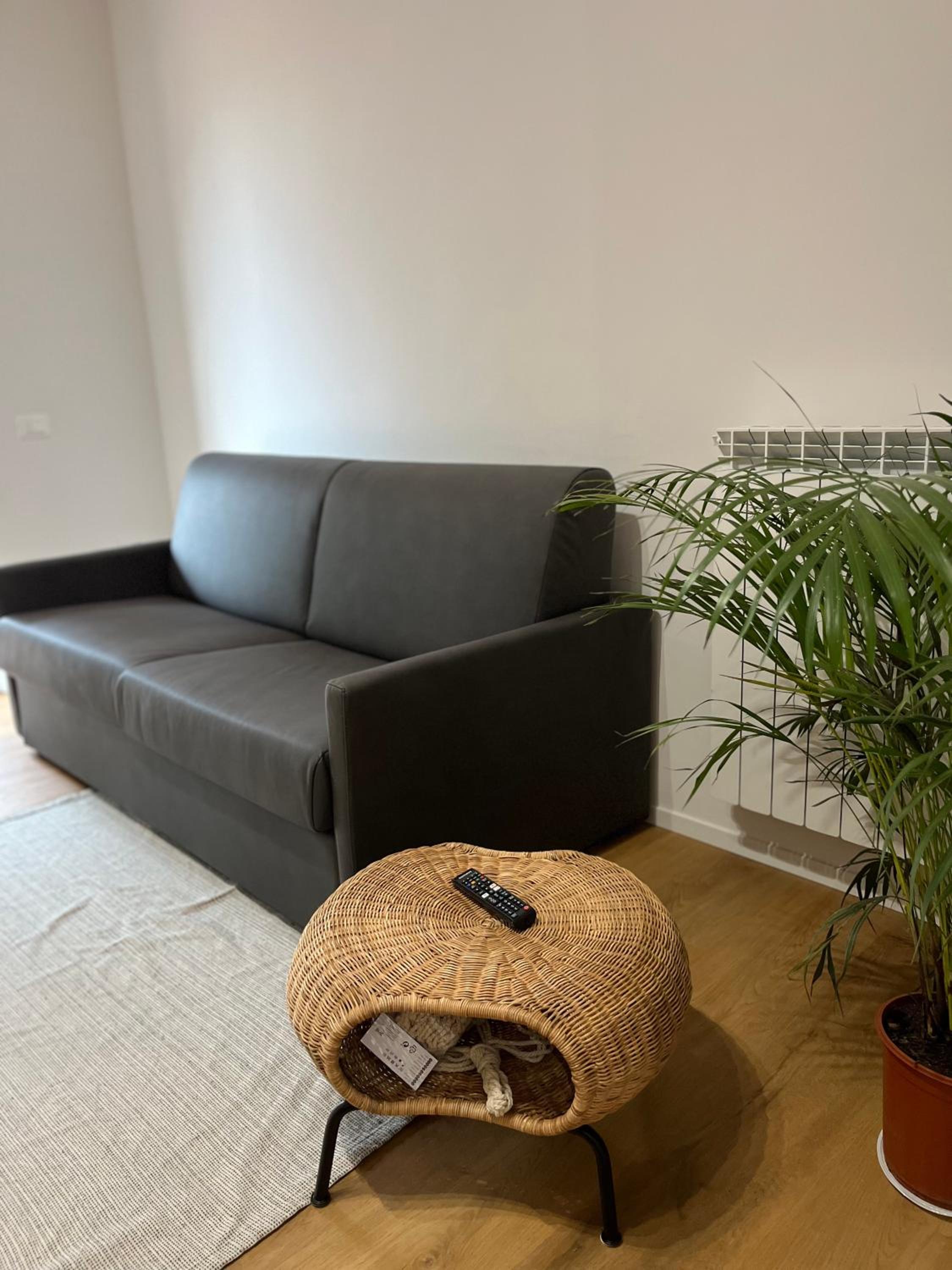 One-Bedroom Apartment photo 2