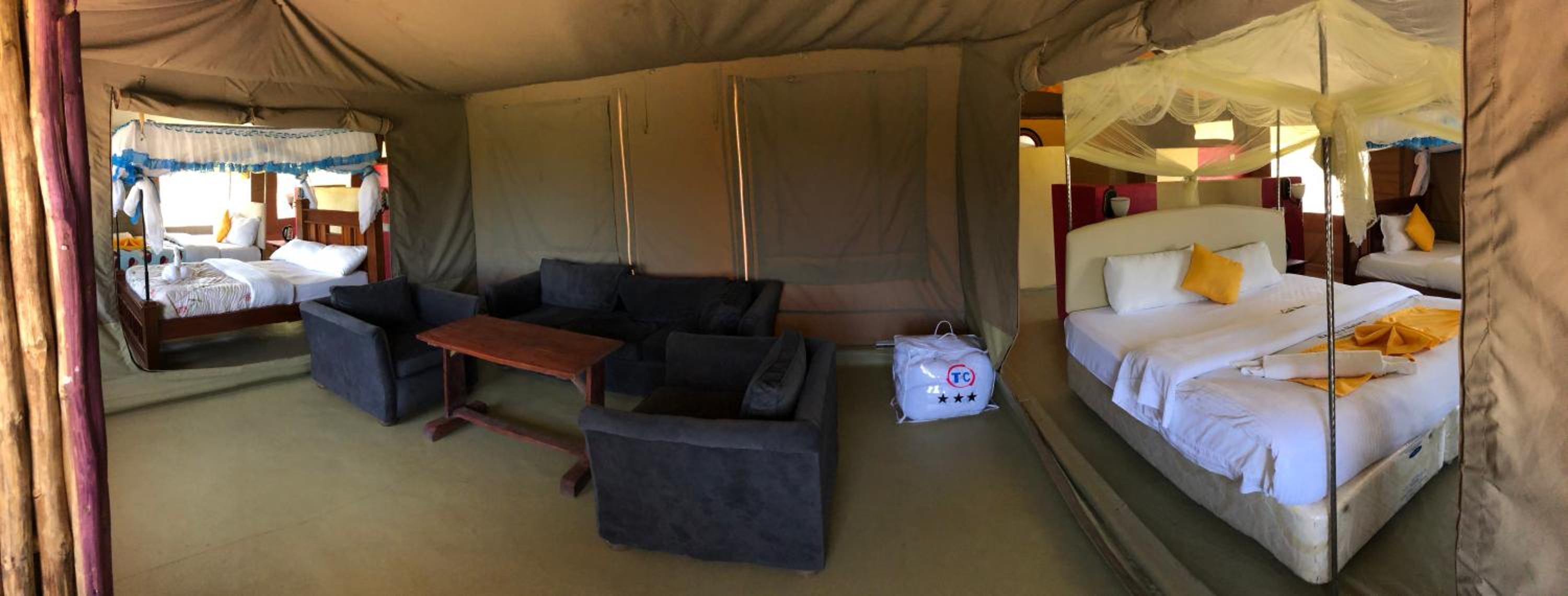 Large Single Room photo 1