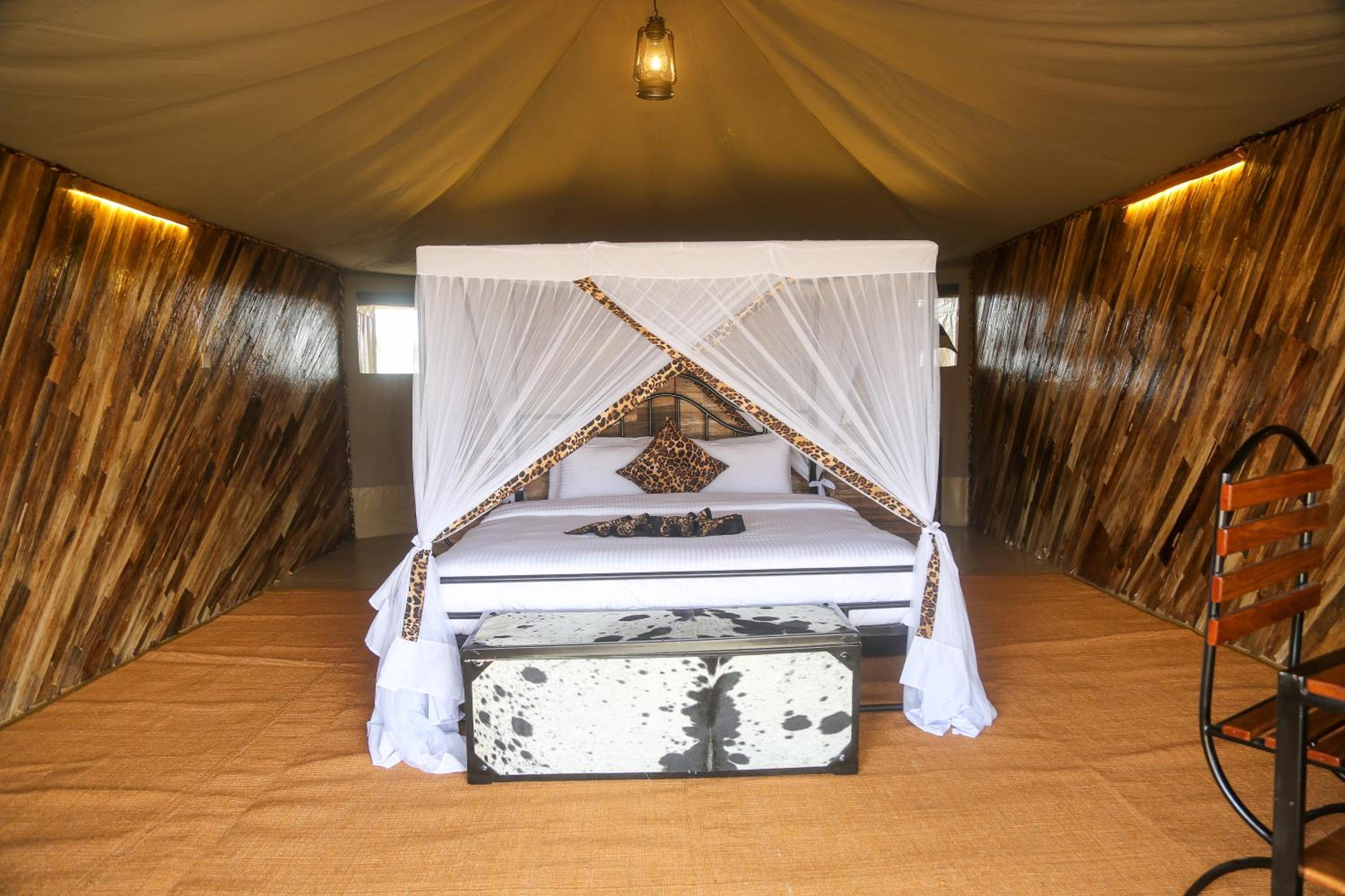 Superior Single Room photo 2