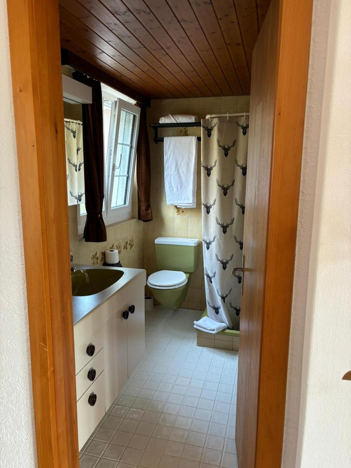 Apartment/Suite with Garden (located next to Hotel Alpina) photo 2