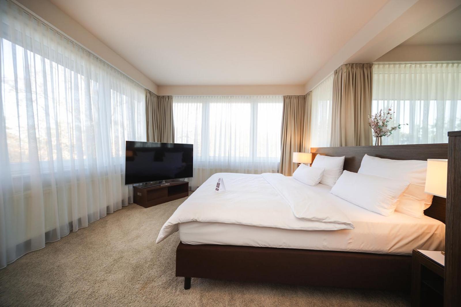 Suite with Terrace photo 3