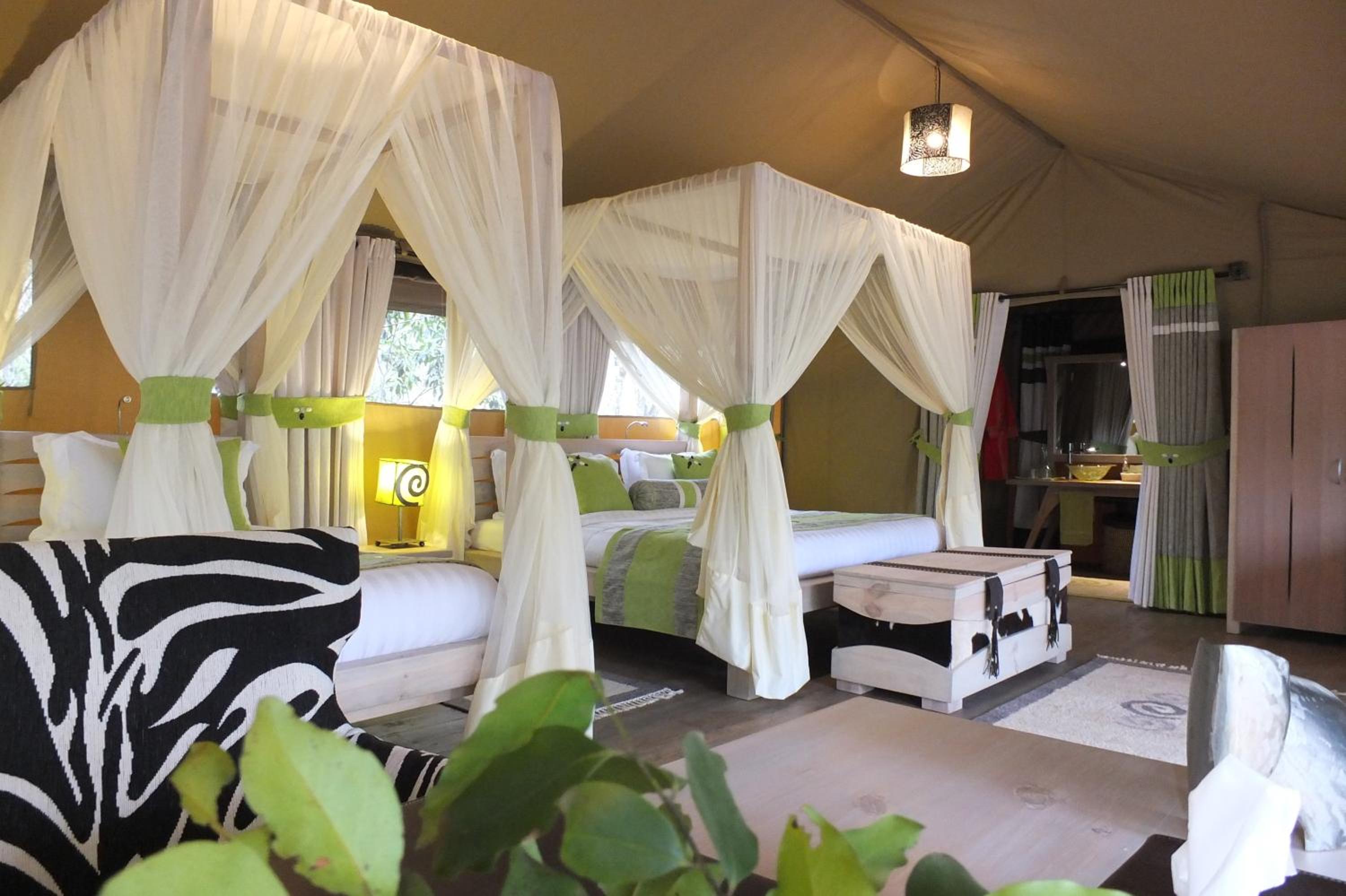 Deluxe Room photo 1