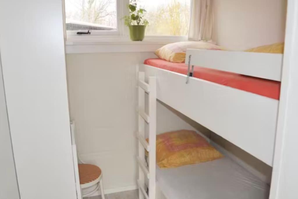 Three-Bedroom House photo 1