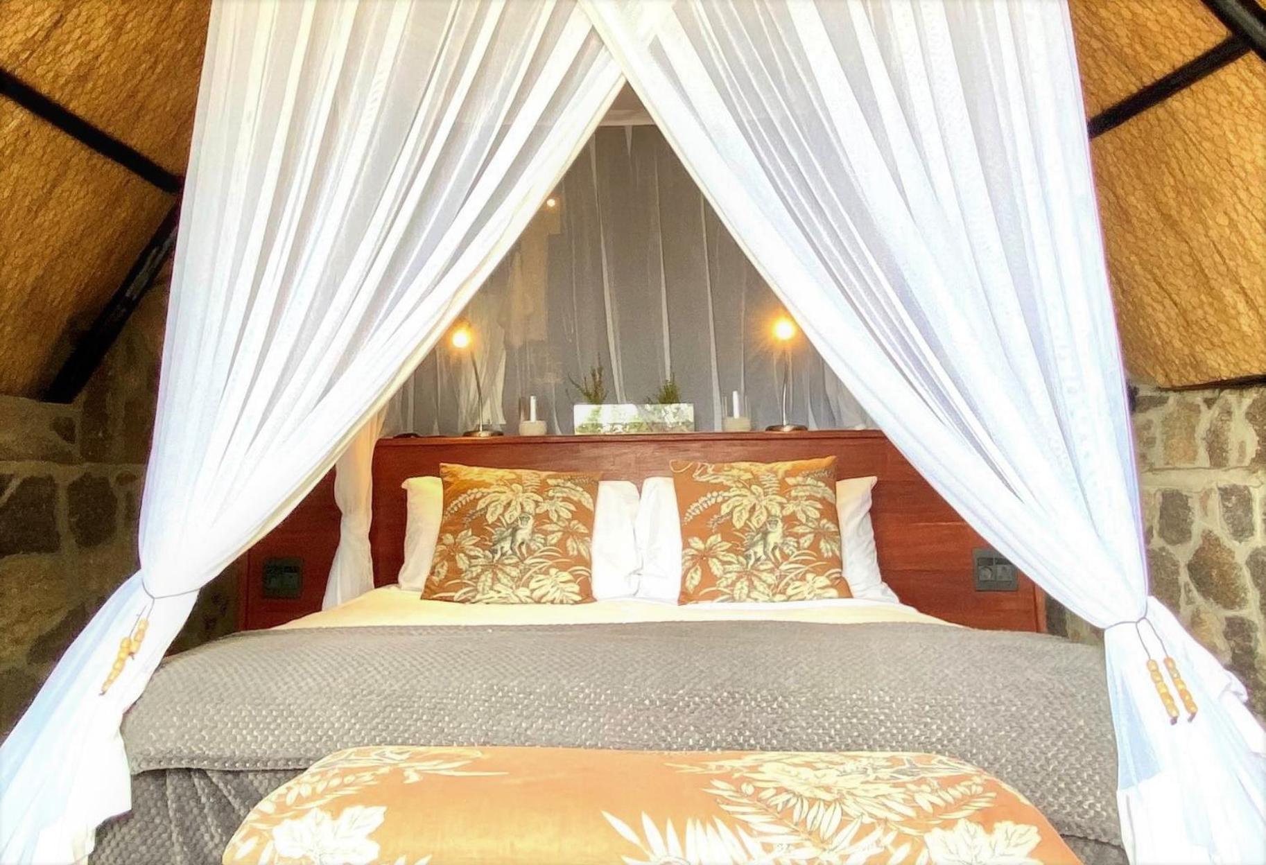 Deluxe Double or Twin Room with Mountain View photo 3