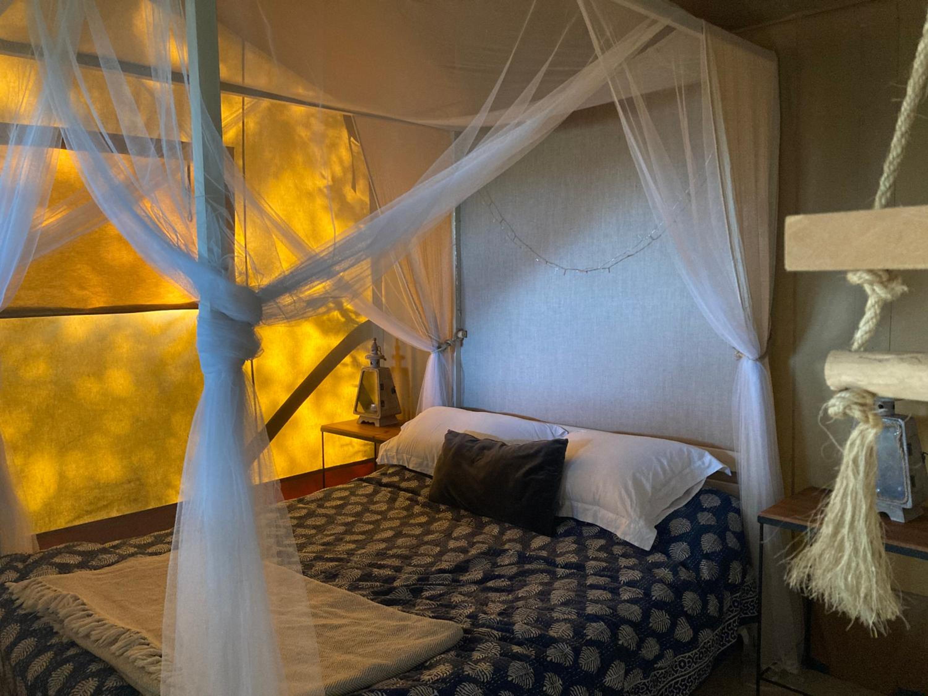 Safari Tent photo 1