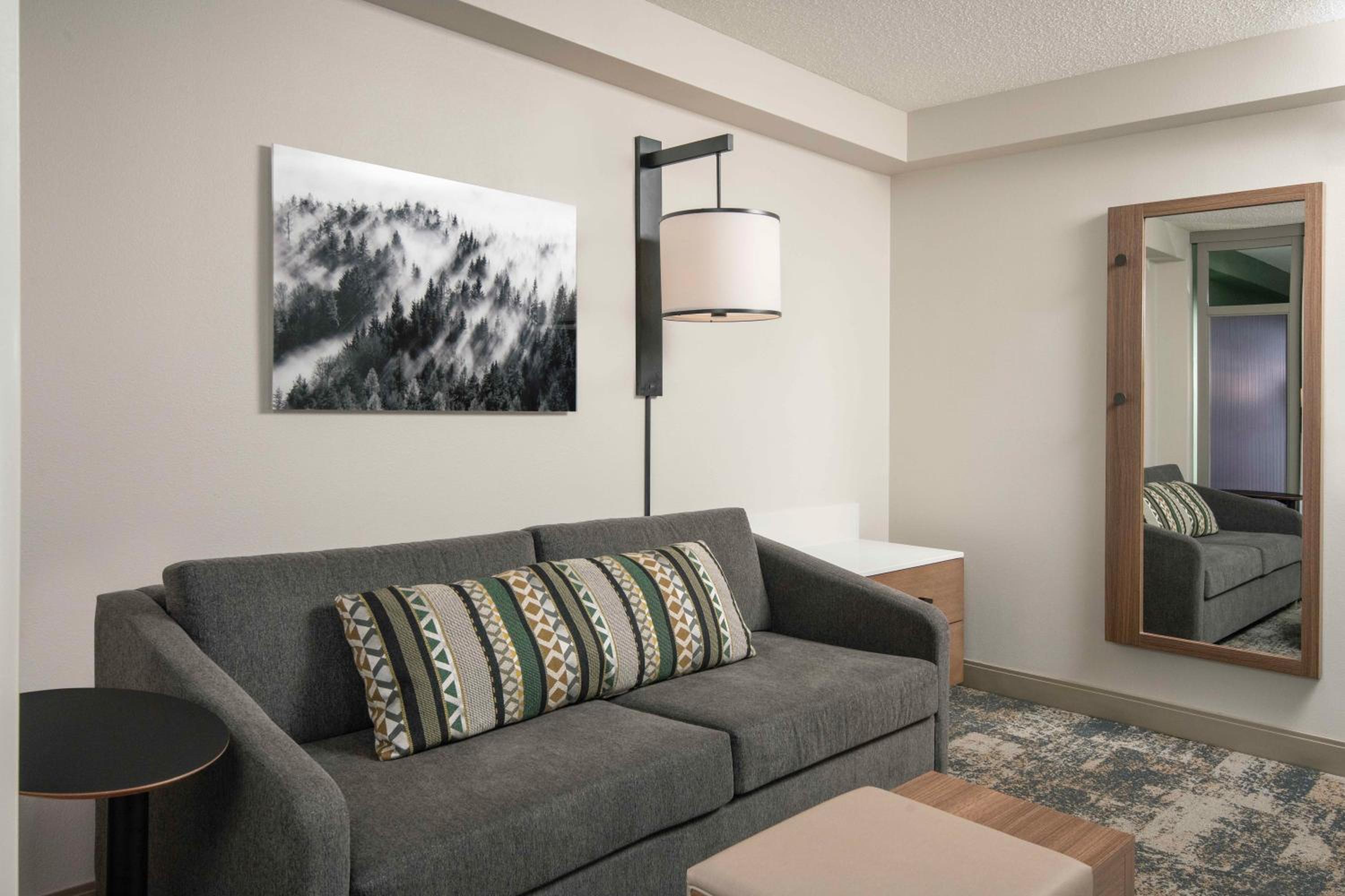 King Room with Sofa Bed and Accessible Tub - Disability Access - Photo 6