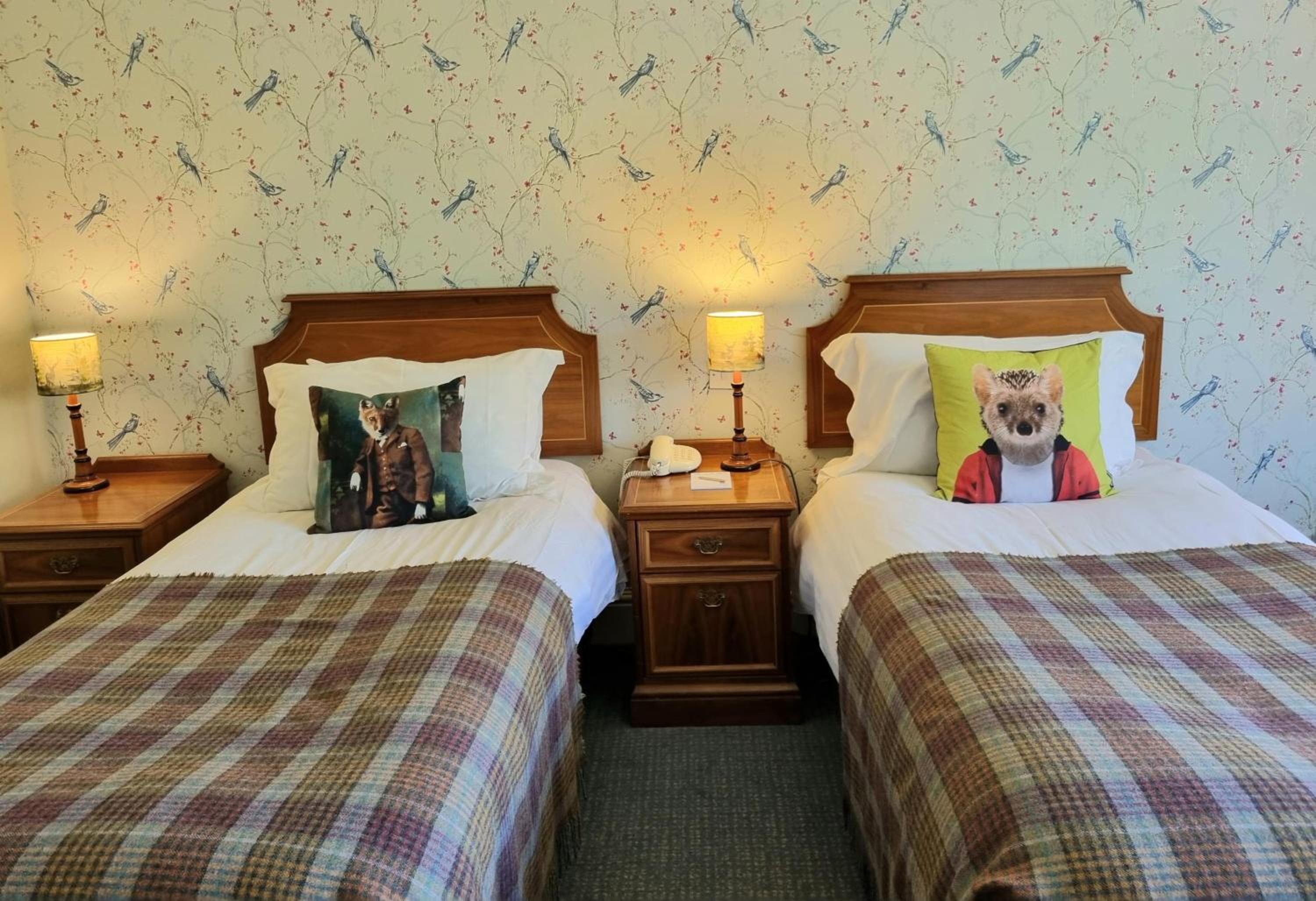 Superior Twin or Double Room - Photo 3