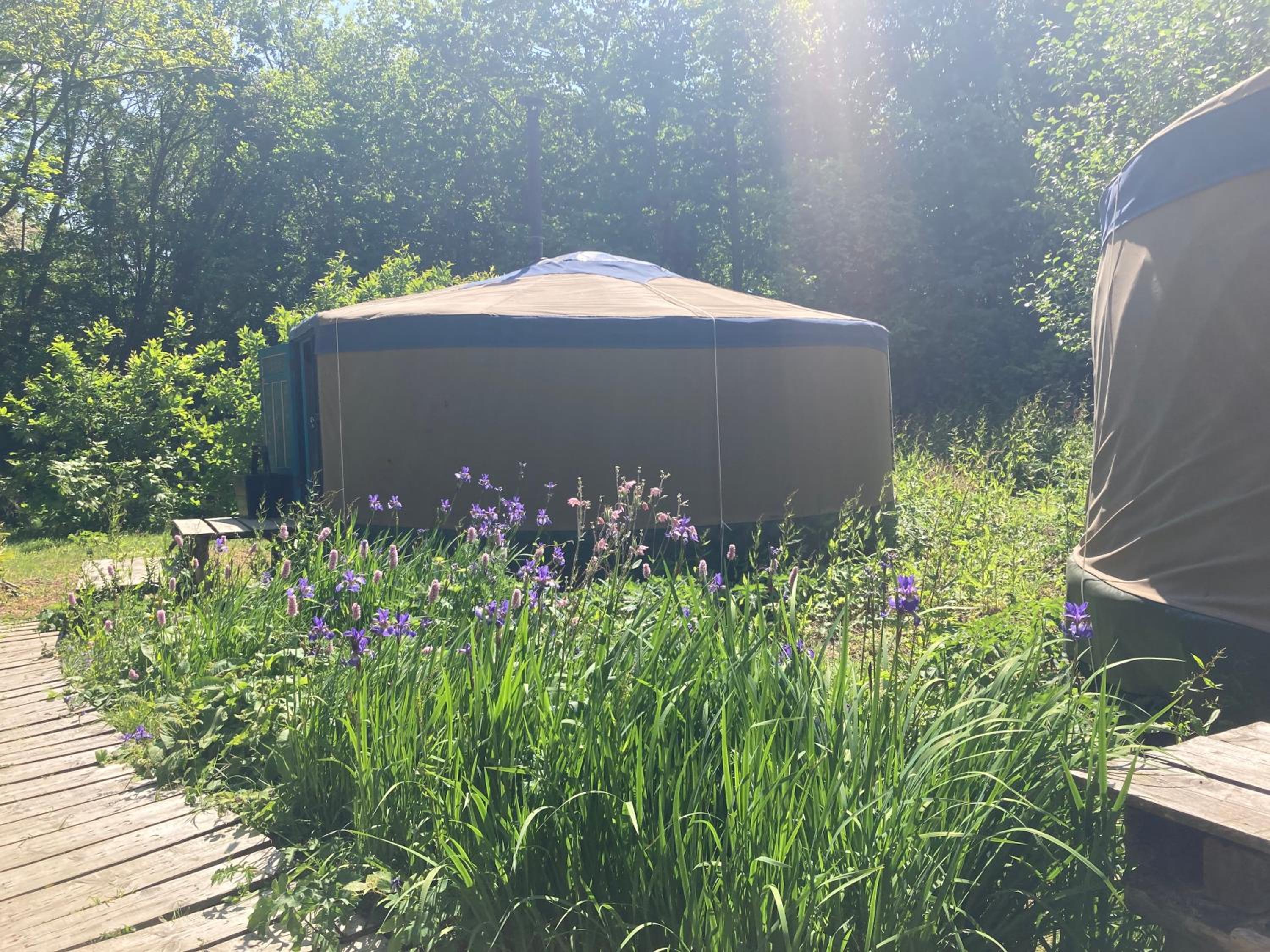 Tent photo 3