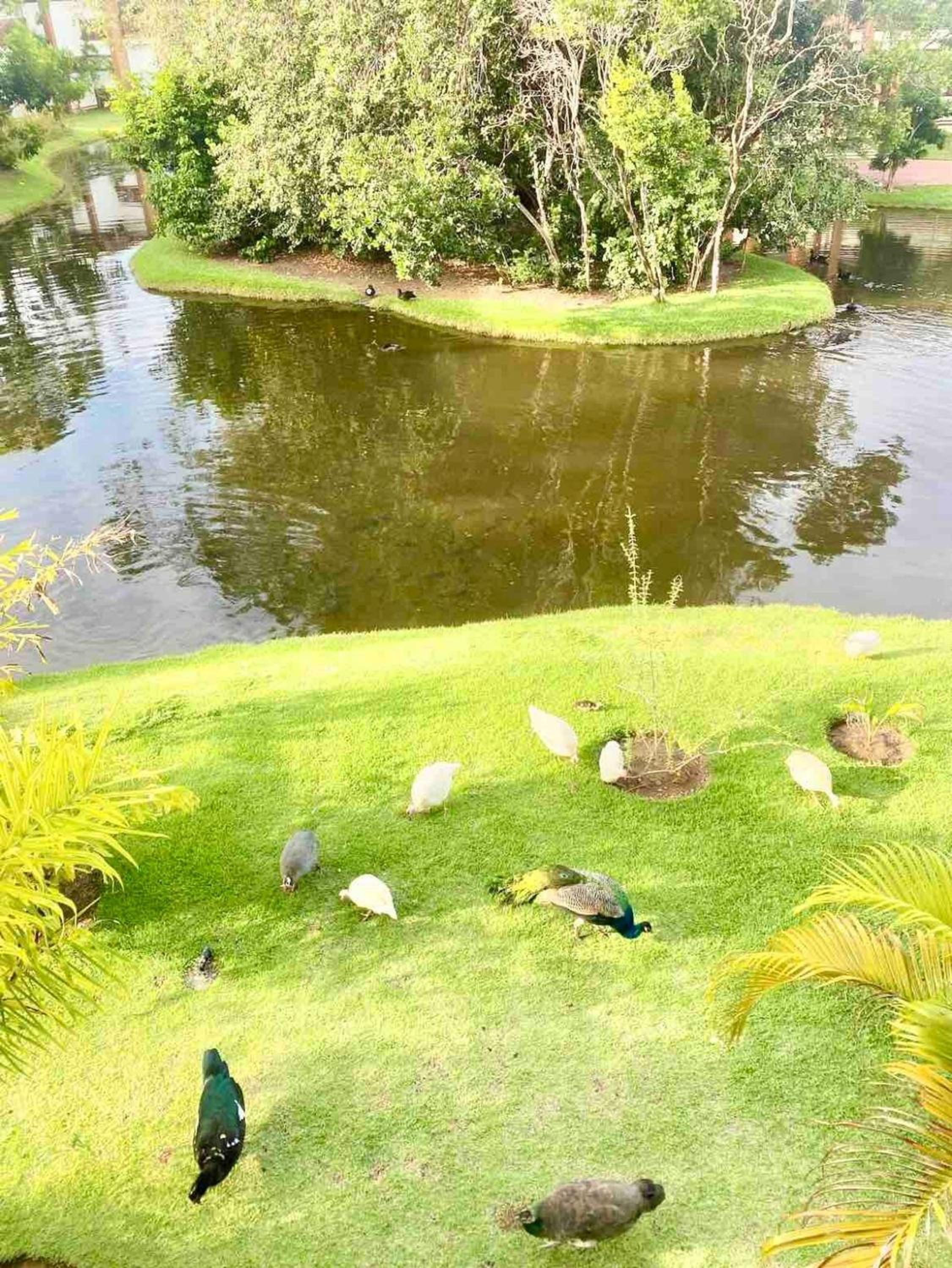Three-Bedroom Apartment with Lake View photo 3