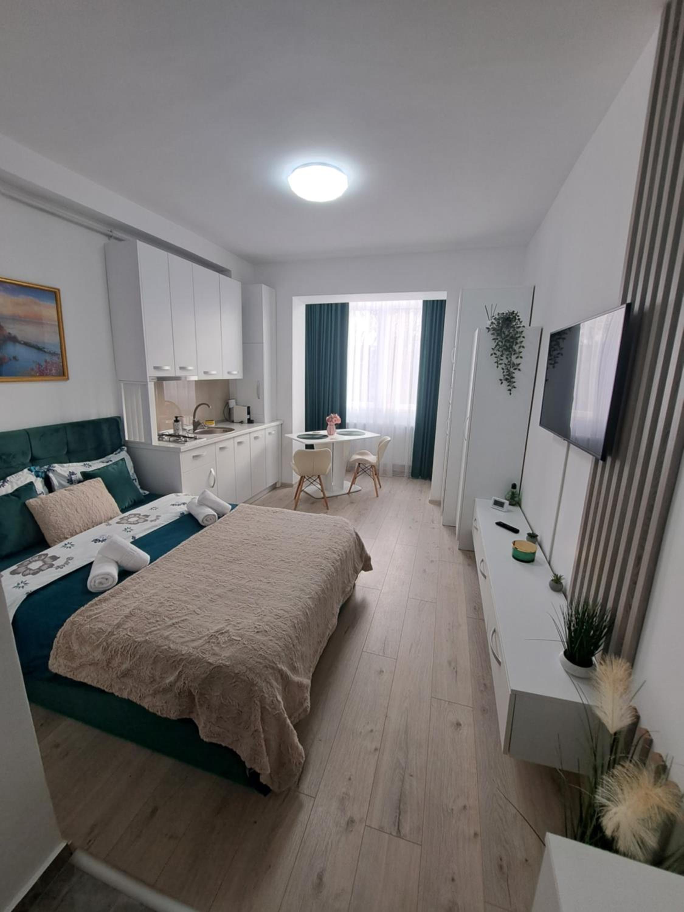 One-Bedroom Apartment photo 3