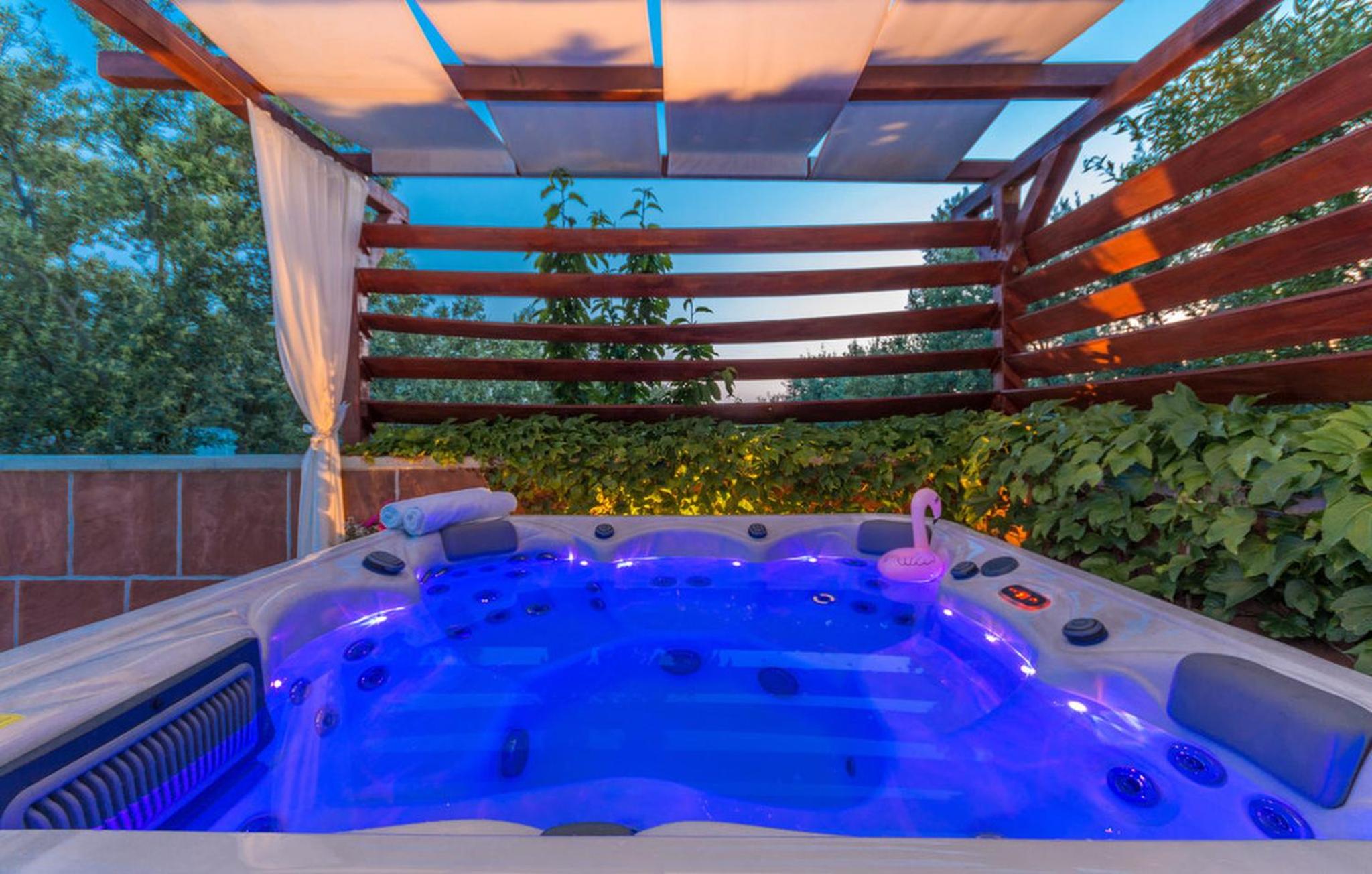 Villa with Private Pool photo 3
