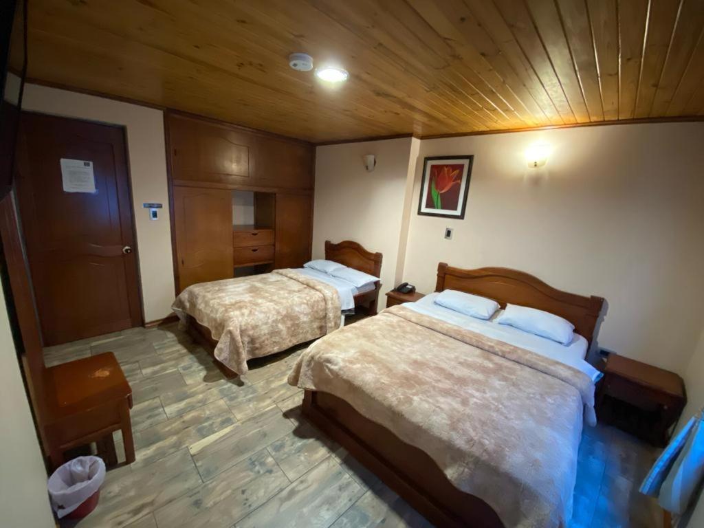 Twin Room photo 2