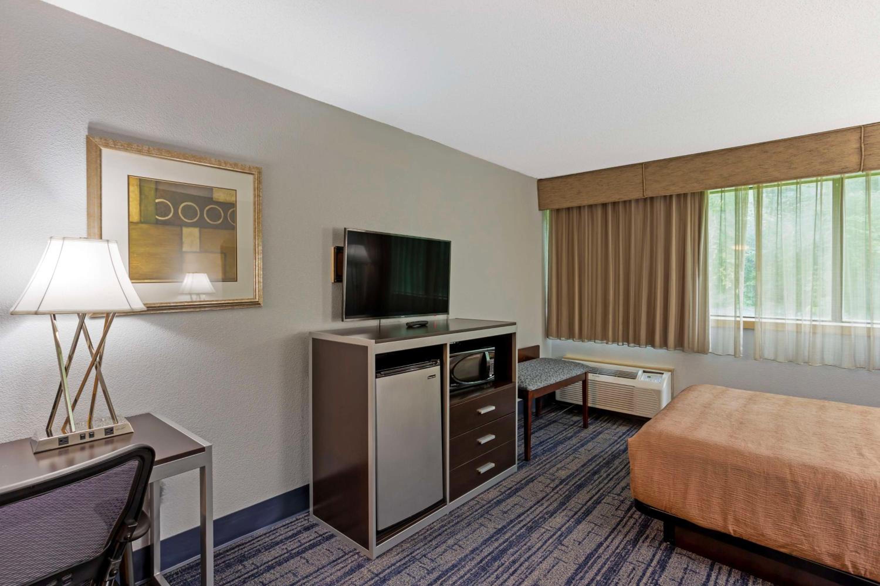 Queen Room with Sofa Bed and Roll-In Shower - Disability Access - Photo 6
