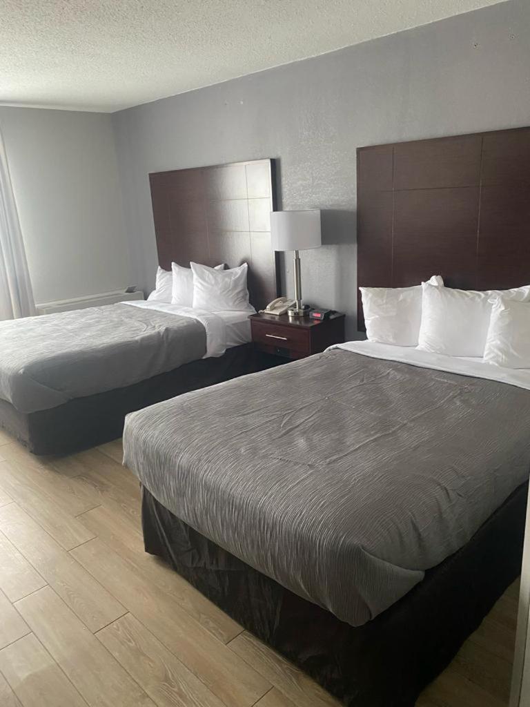 Double Room With Two Double Beds - Non Smoking